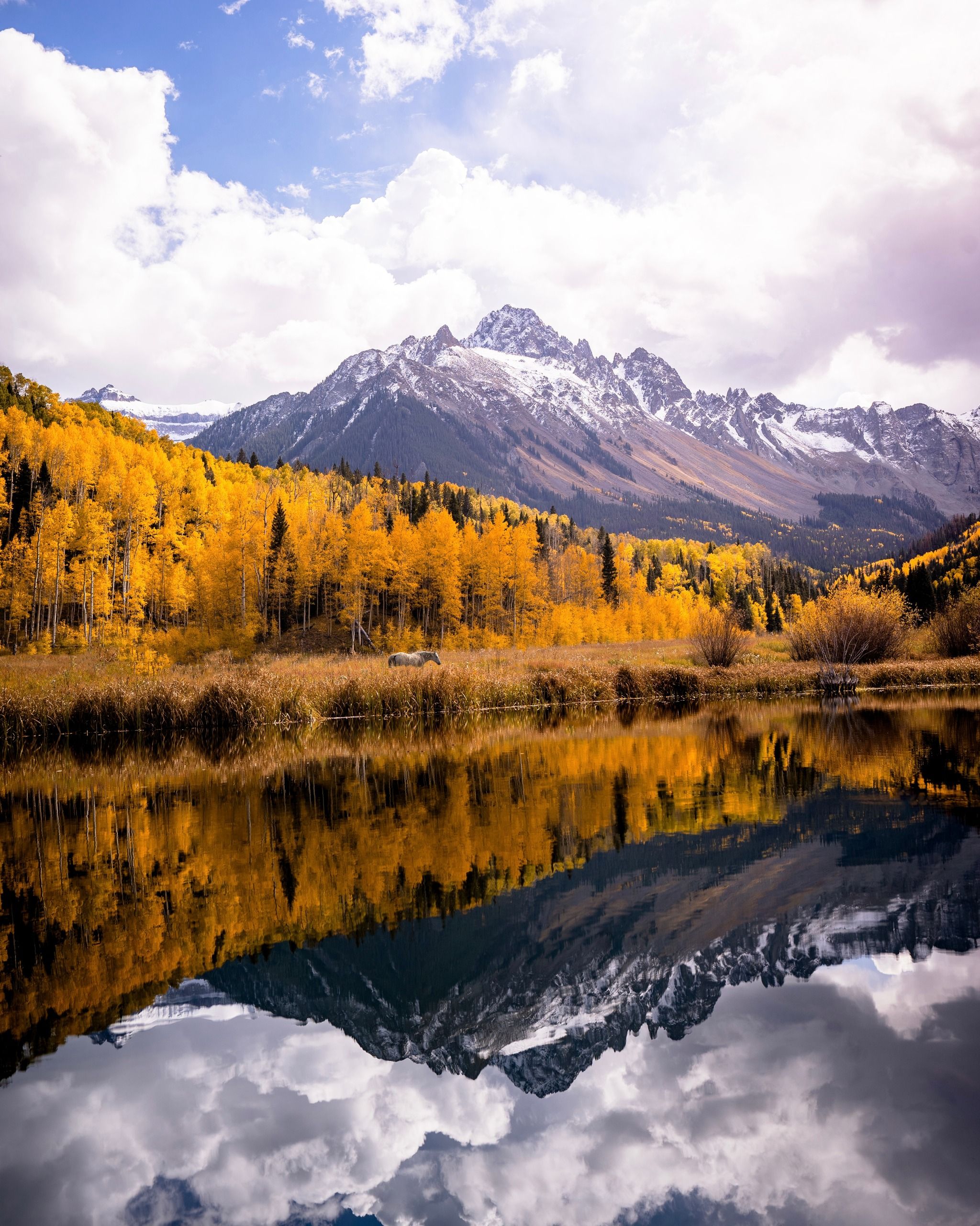 Sneffels Beaver Pond