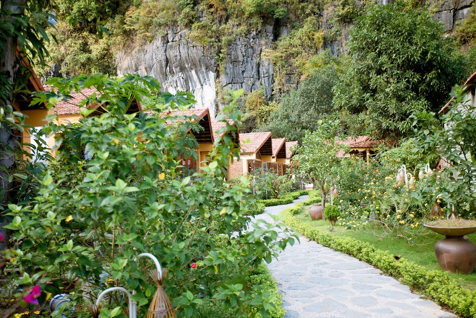 Tam Cốc Luxury Homestay