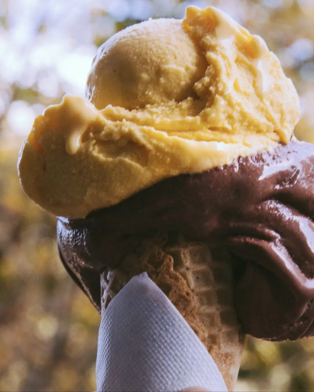 Otaleg Gelateria (Trastevere area)