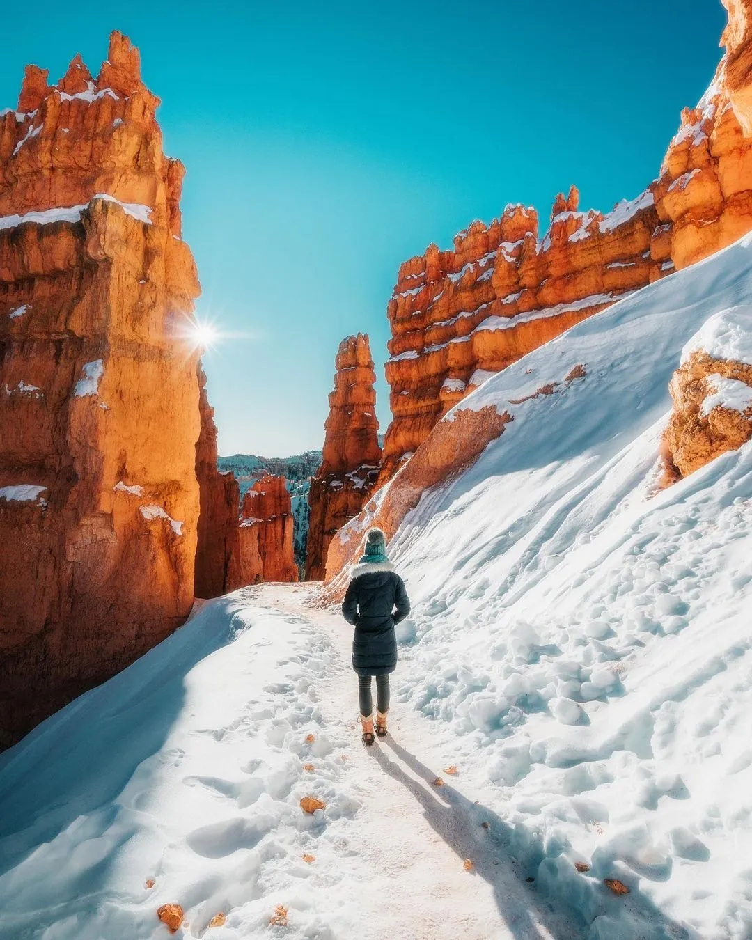 Navajo Loop Trail