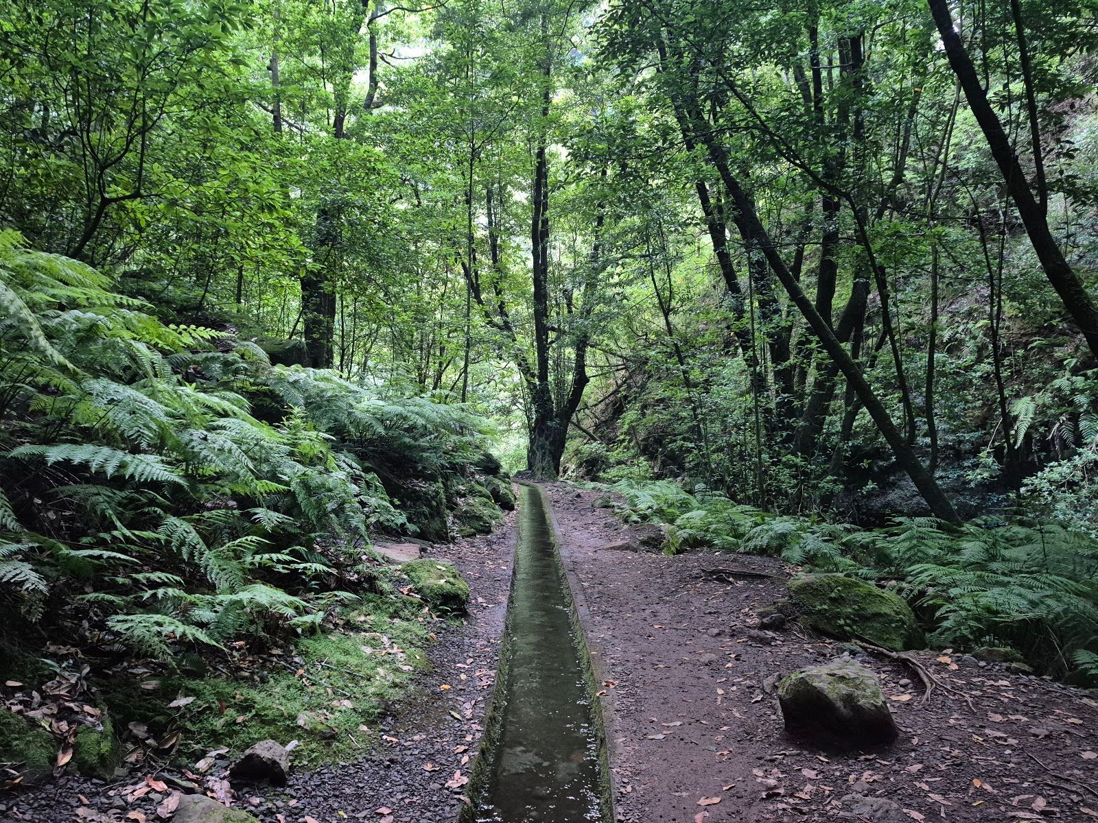 PR18 - Levada do Rei