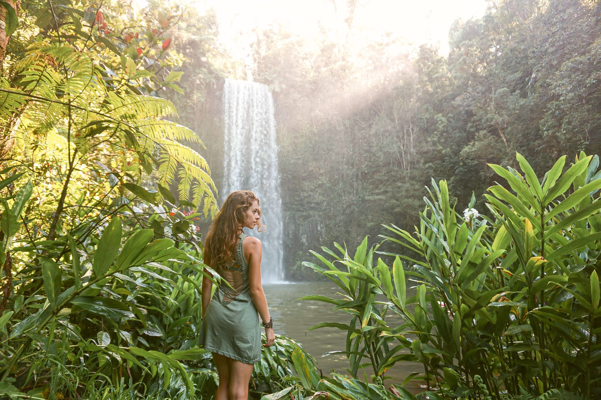 Millaa Millaa Falls - Tropical beauty