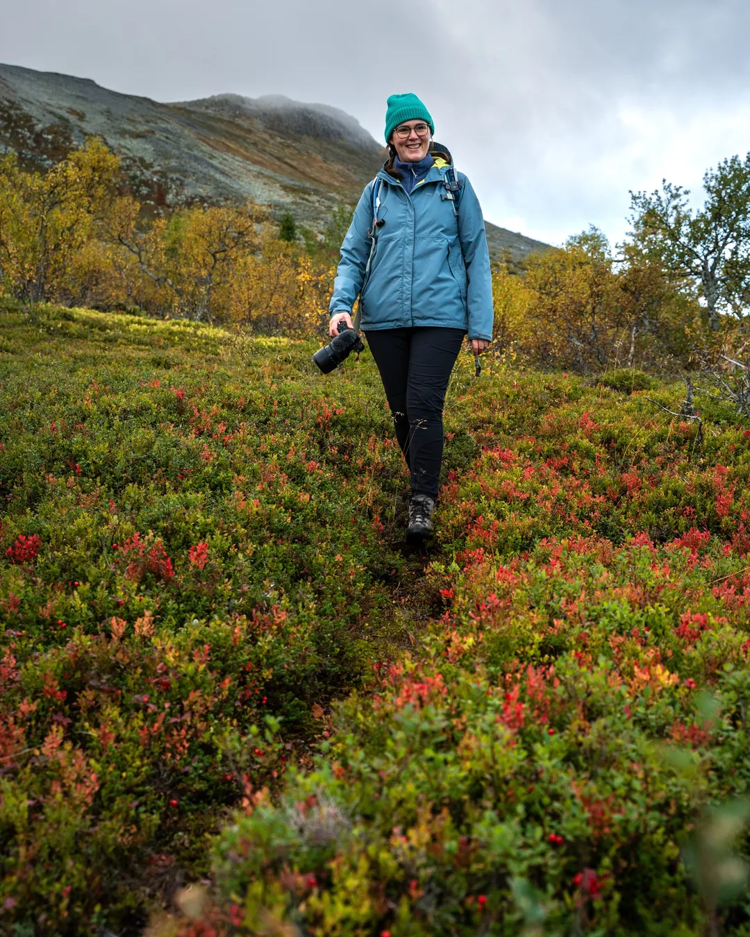 Nationalpark Sonfjället