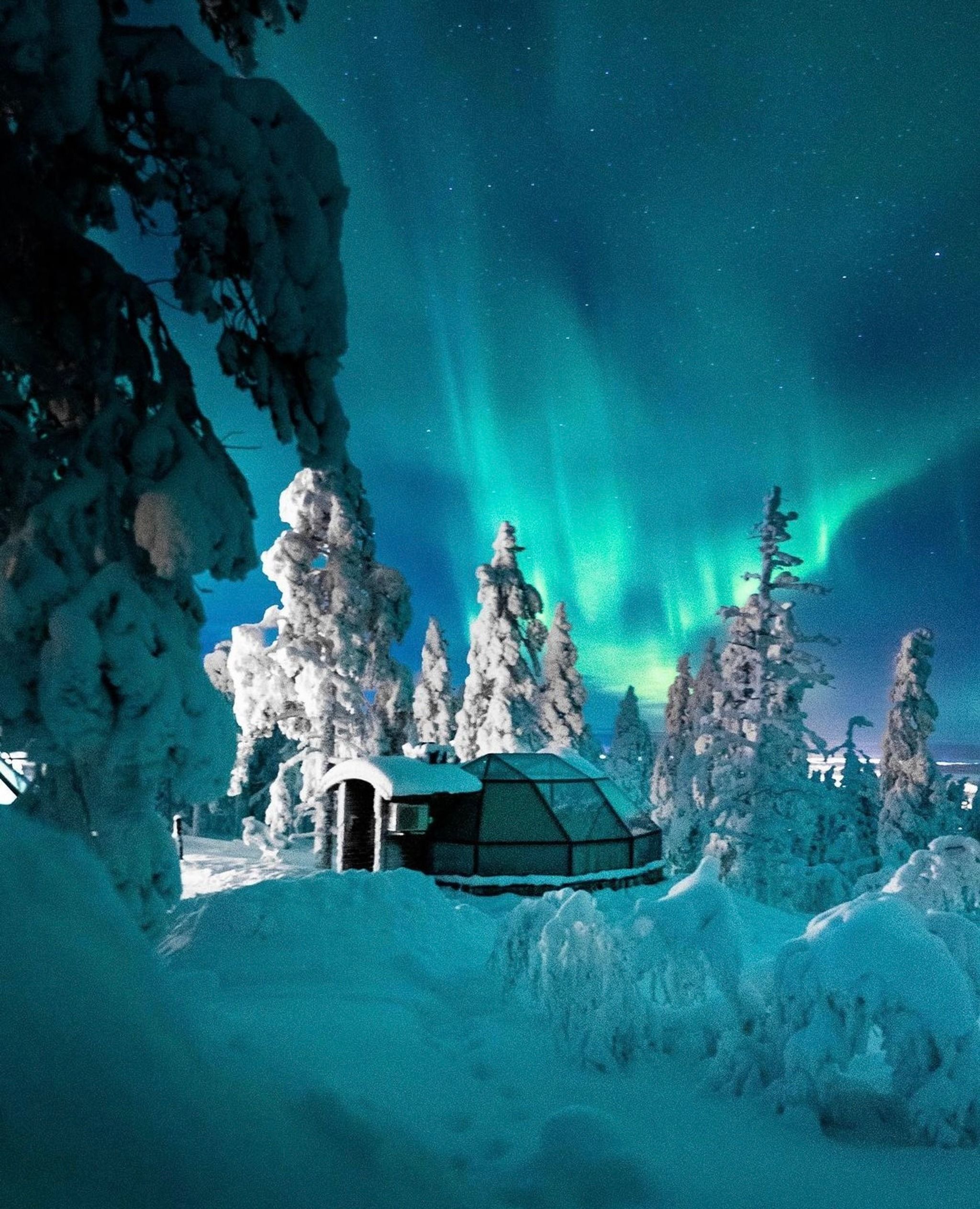 Levin Iglut Glass Igloos