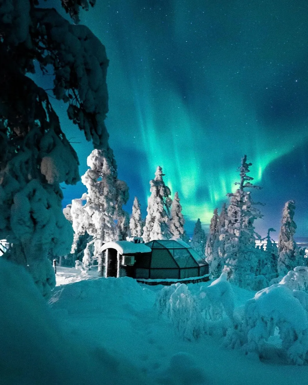 Levin Iglut Glass Igloos
