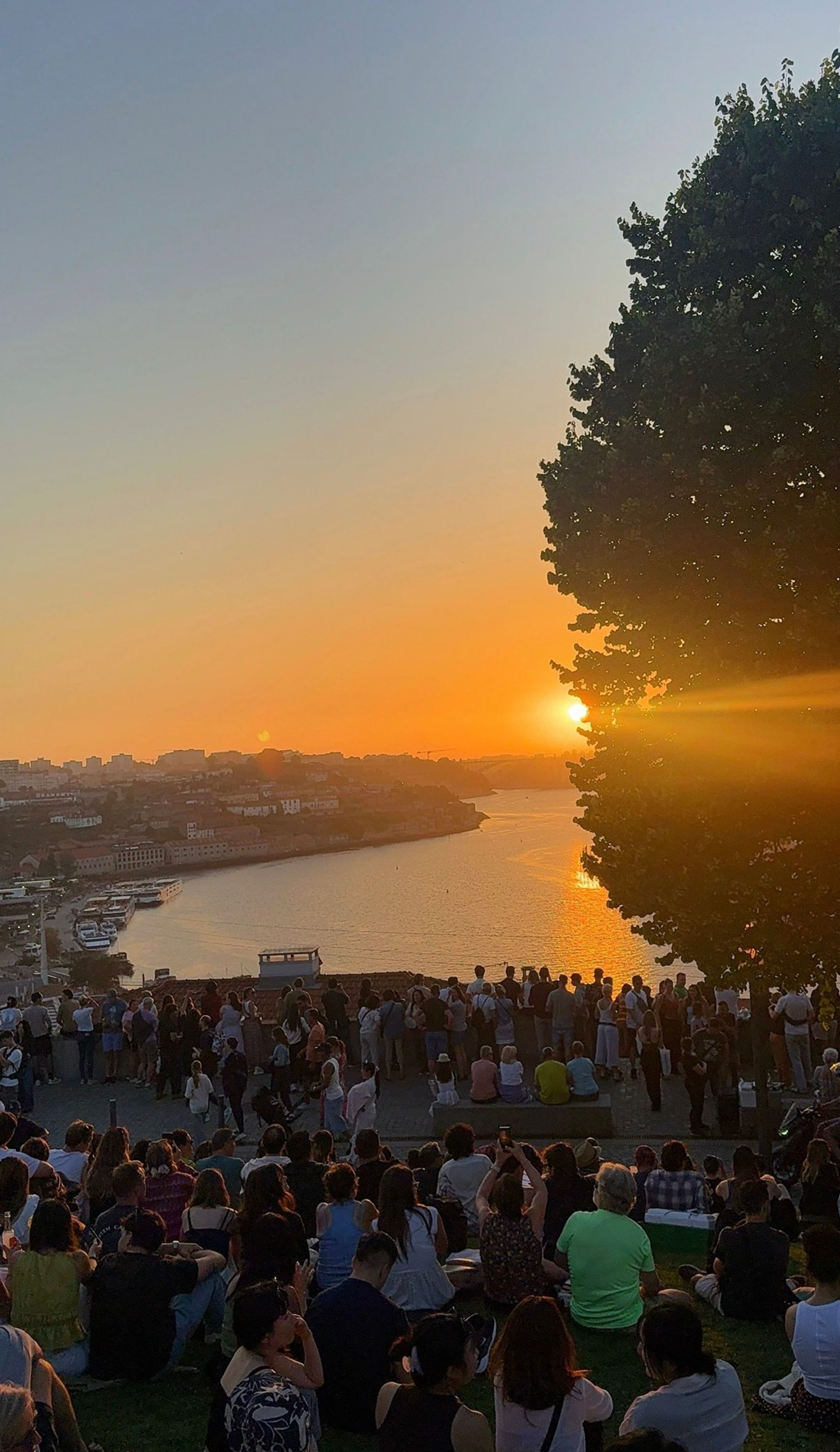 Jardim do Morro