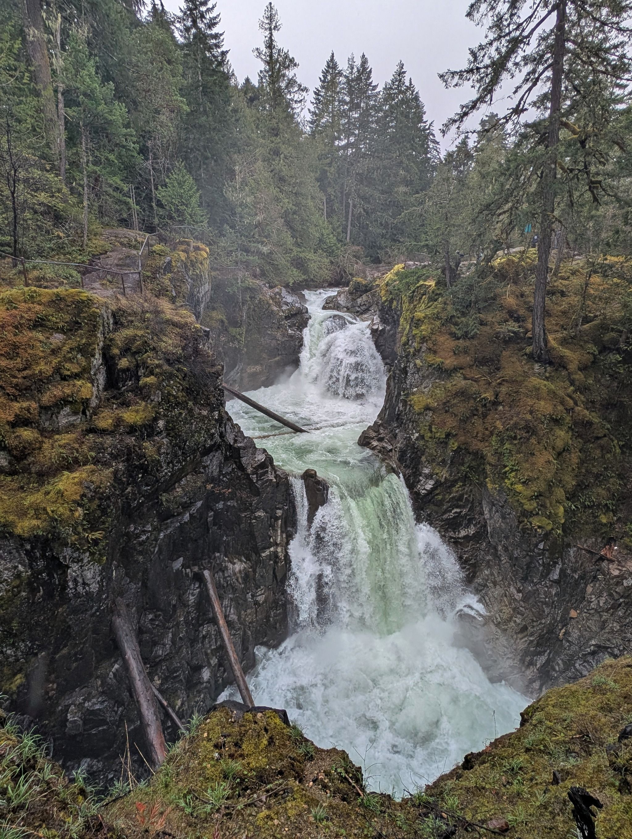 Little Qualicum Falls Provincial Park