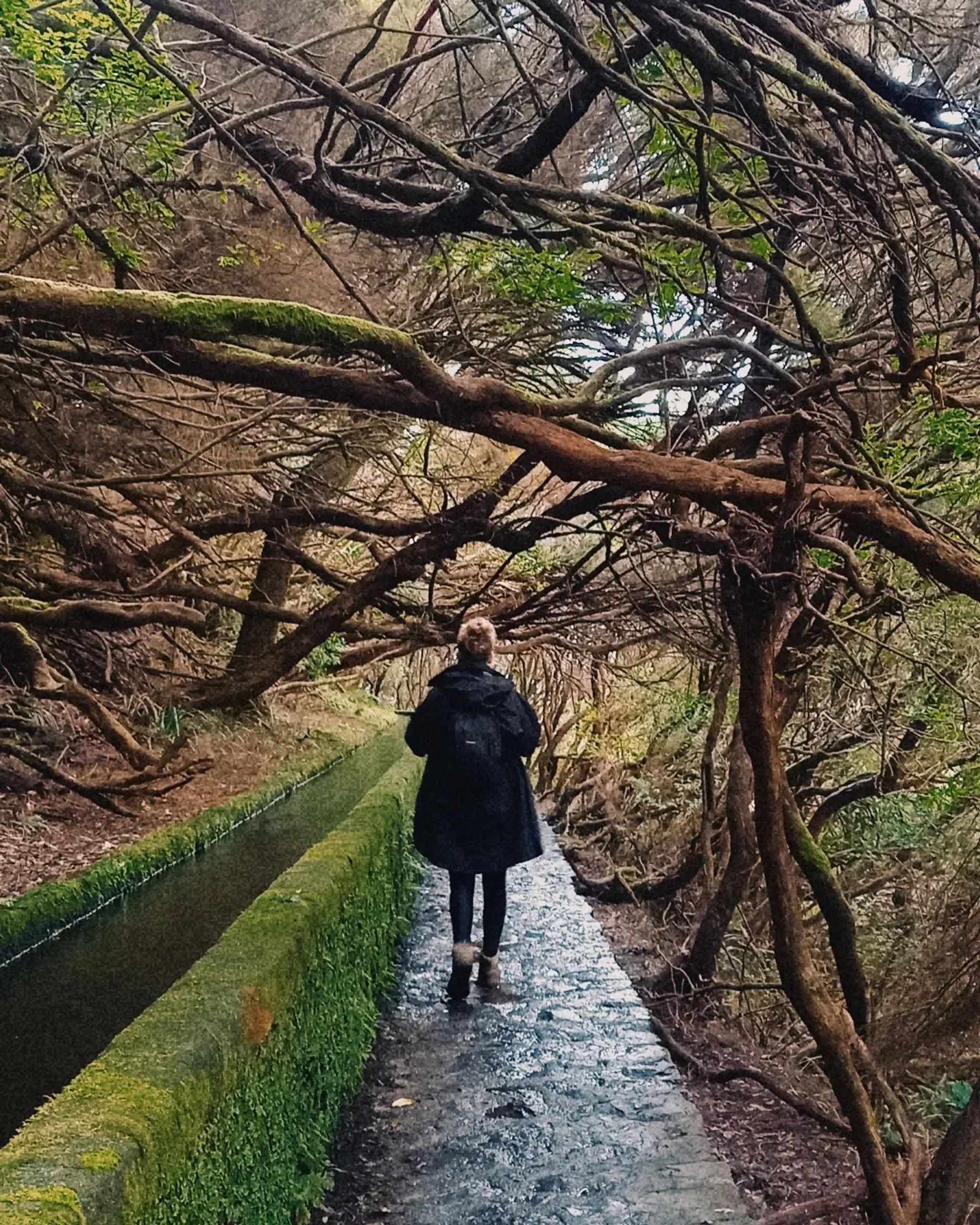 PR6 - 25 Fontes hike & Levada do Risco