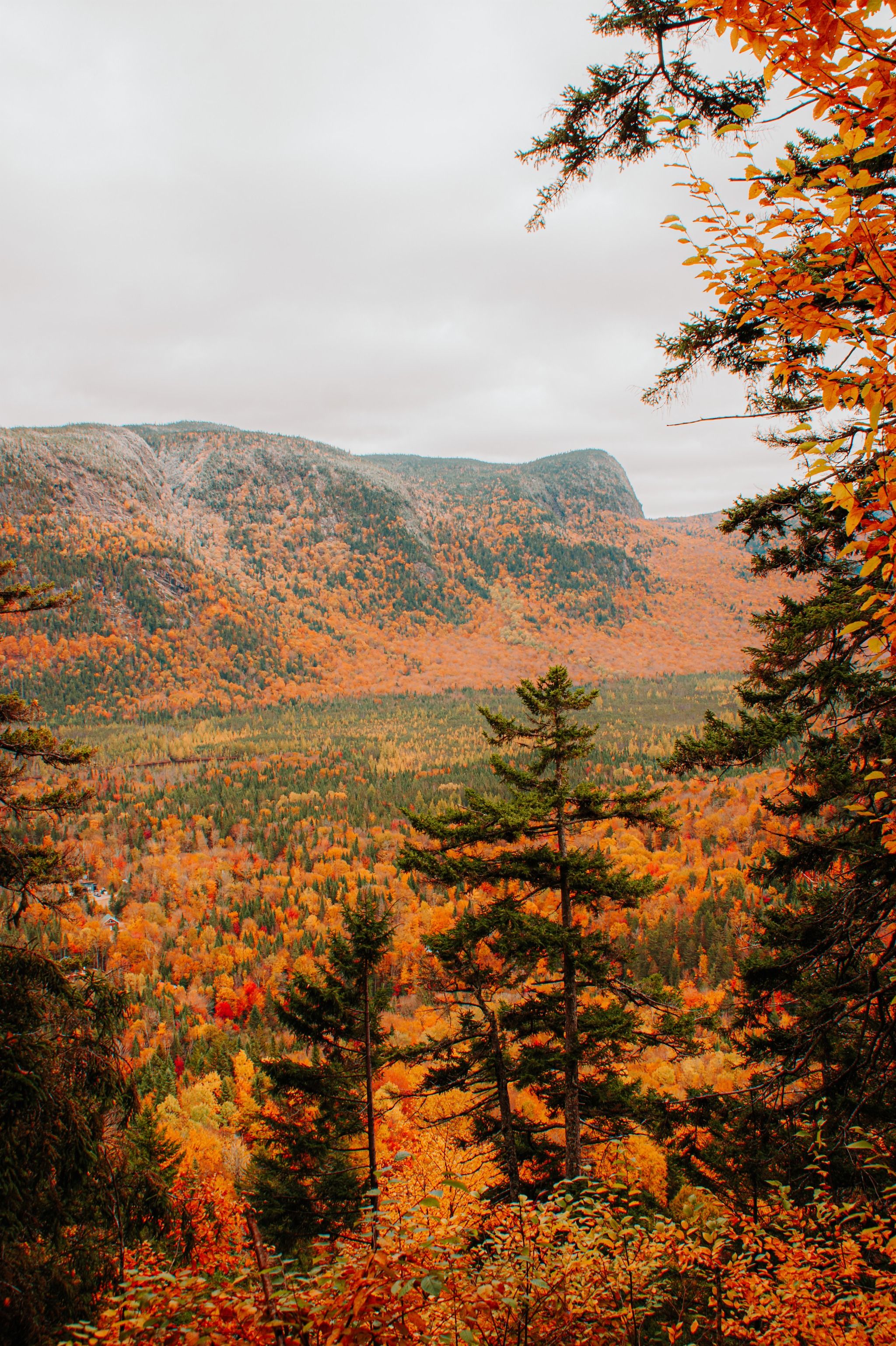 Vallée Bras-du-Nord, Accueil Shannahan