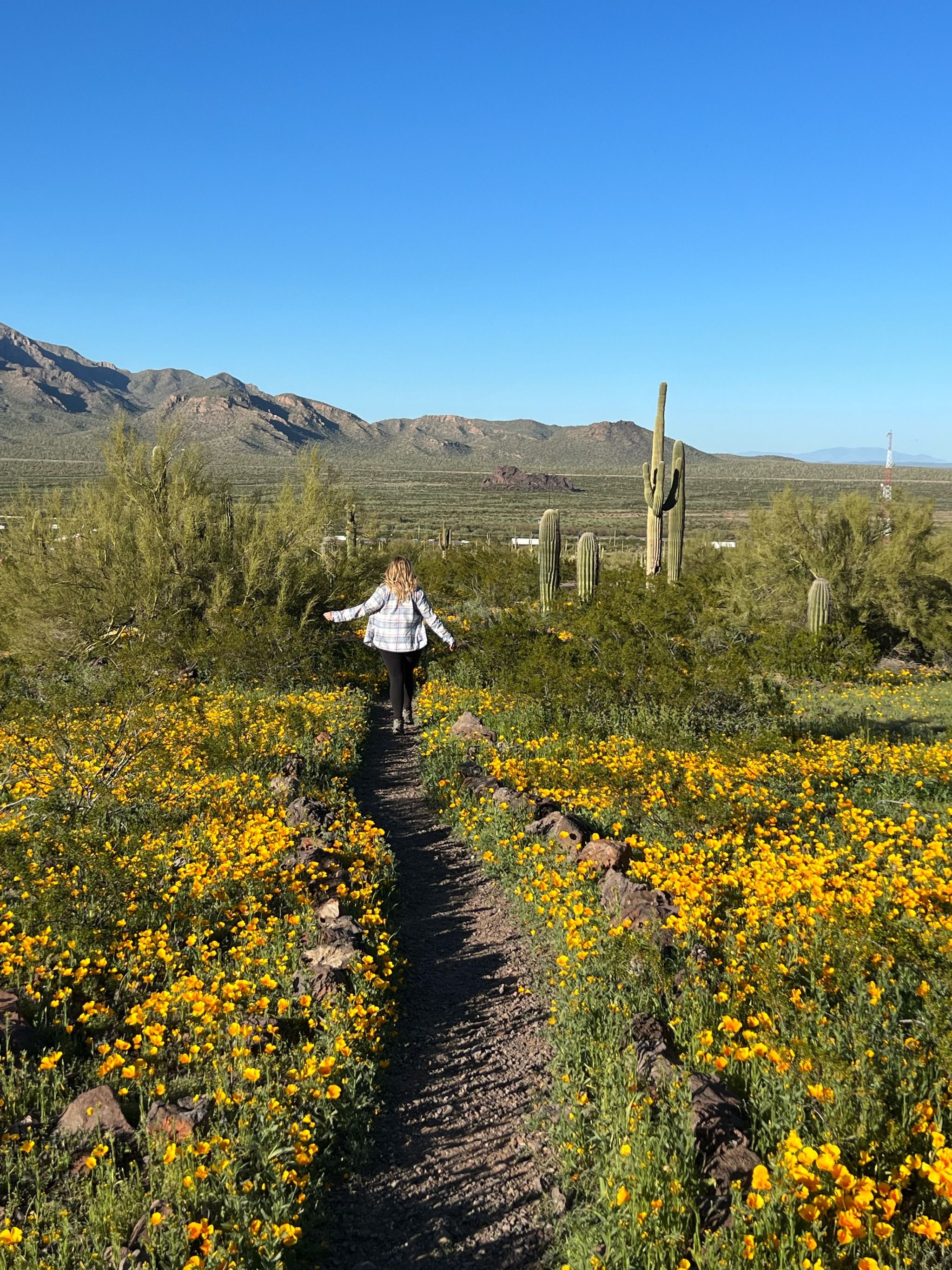 Picacho Peak State Park