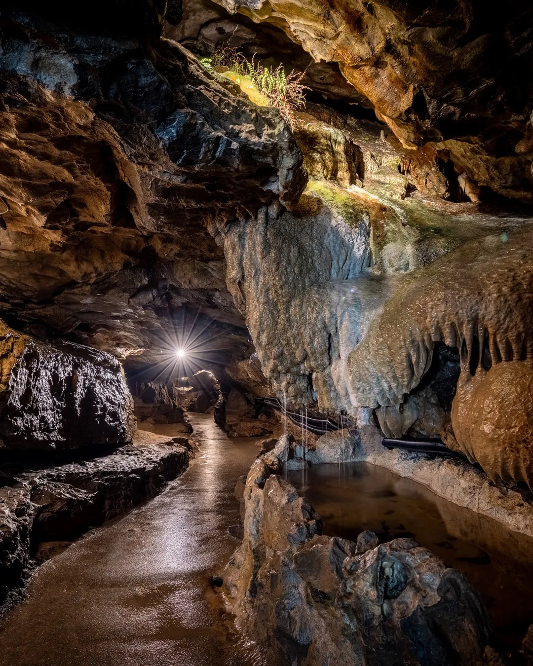 St. Beatus Caves