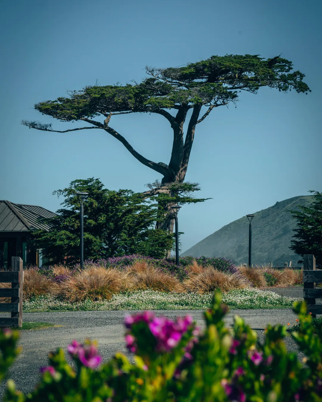 The Inn at Newport Ranch