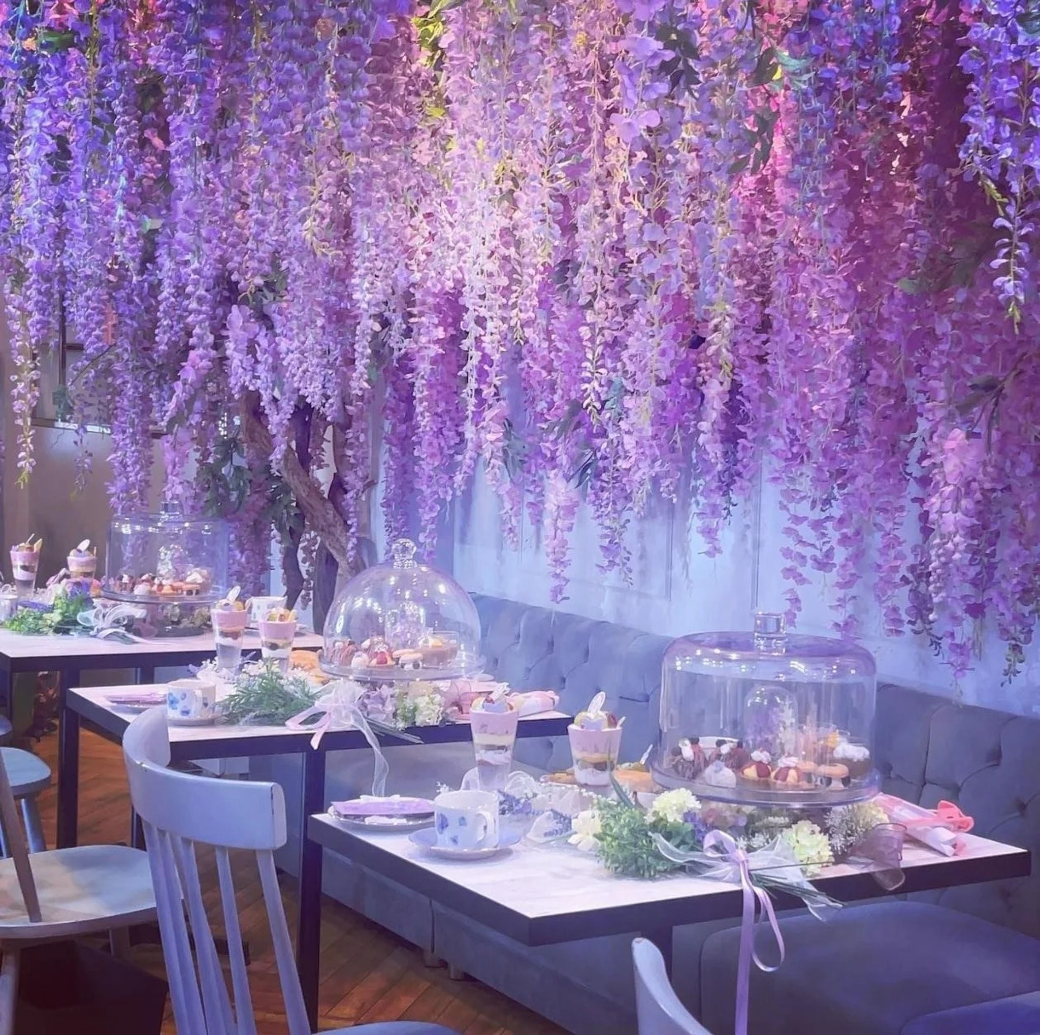 HAUTE COUTURE・CAFE - Japan - Rexby