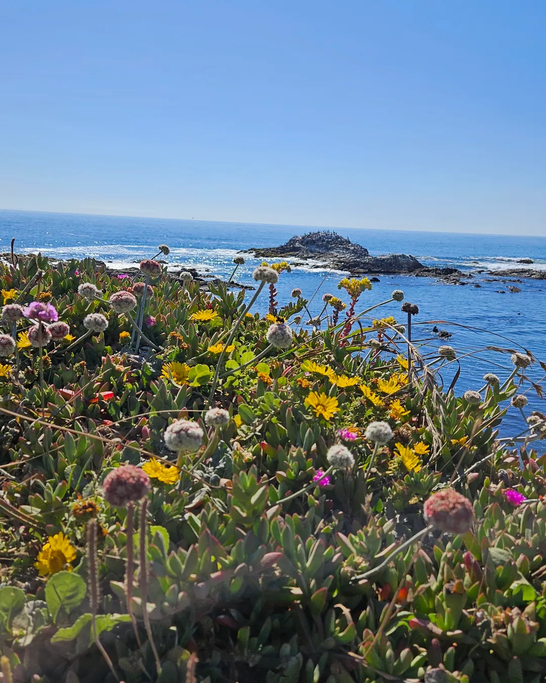 Bean Hollow State Beach