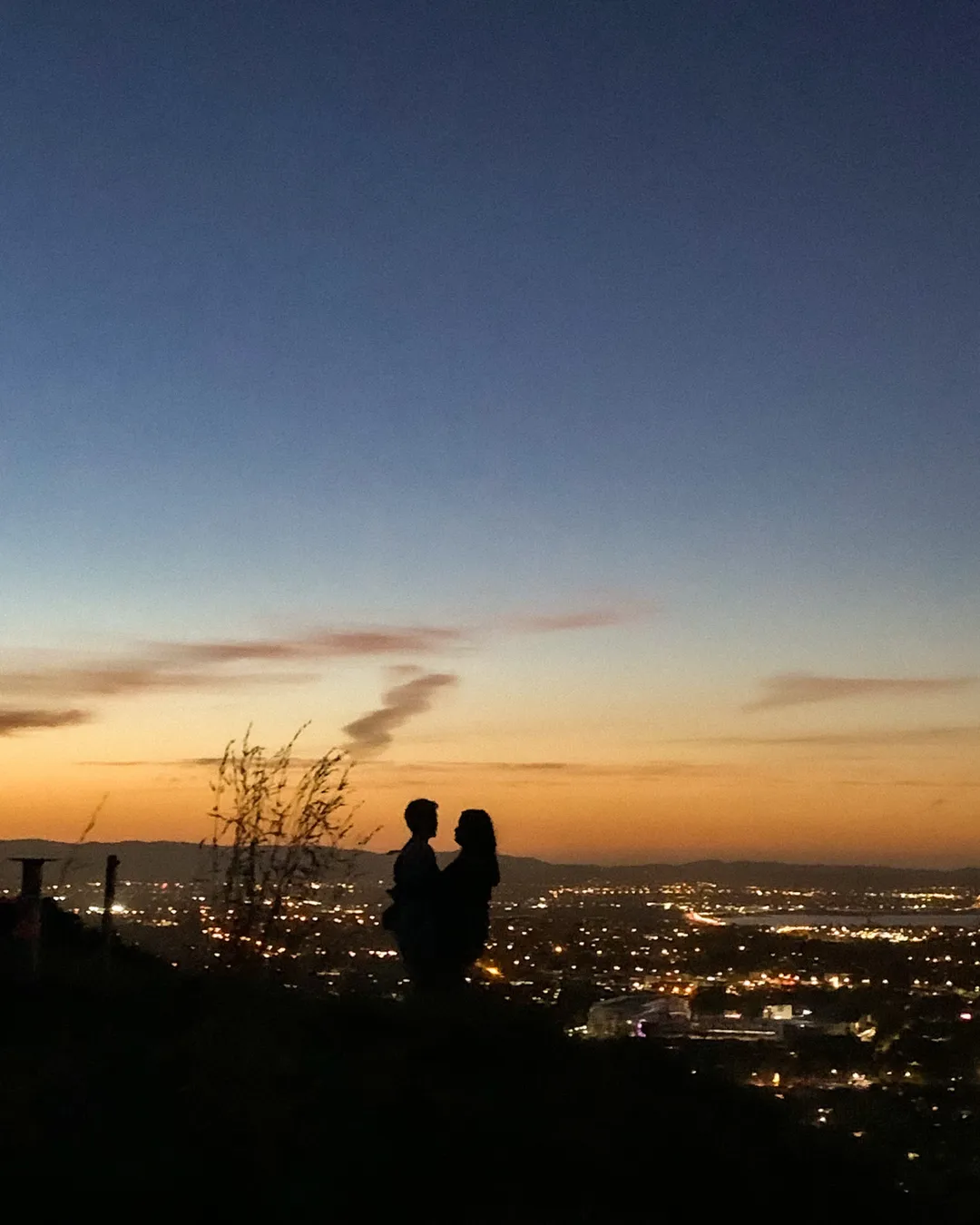 Maungawhau (Mount Eden)