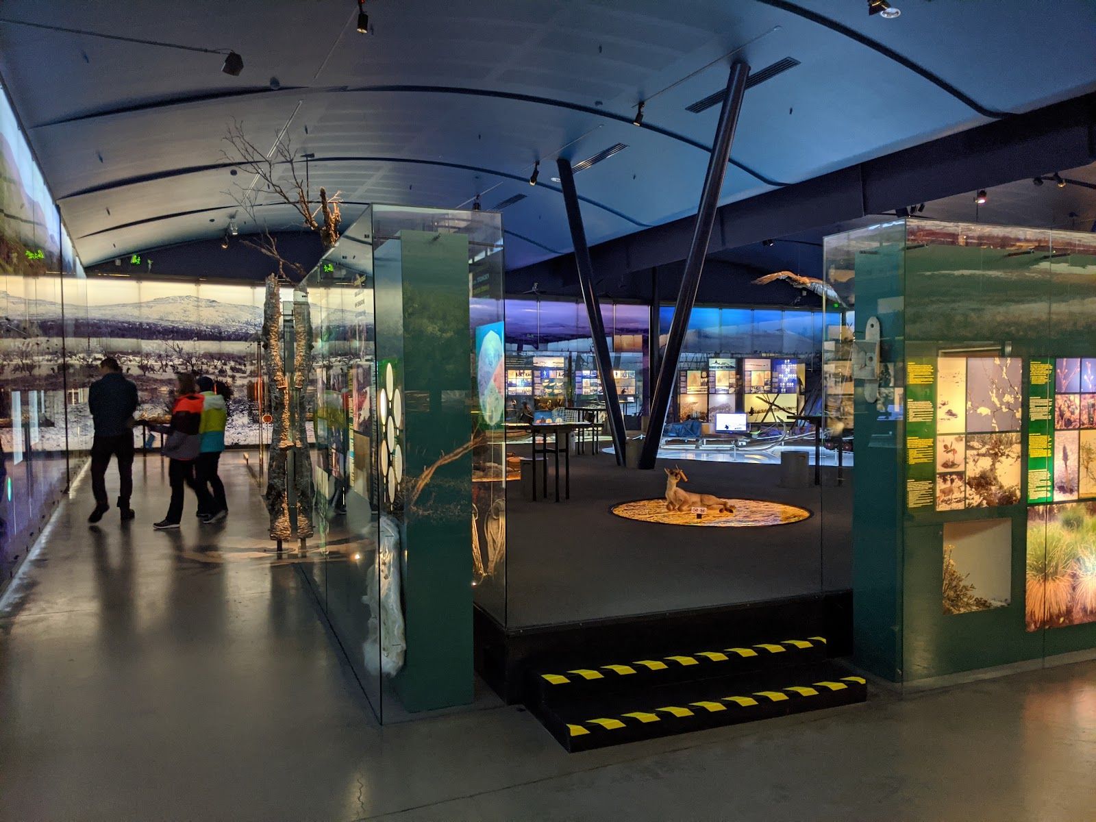 Siida - Sámi Museum