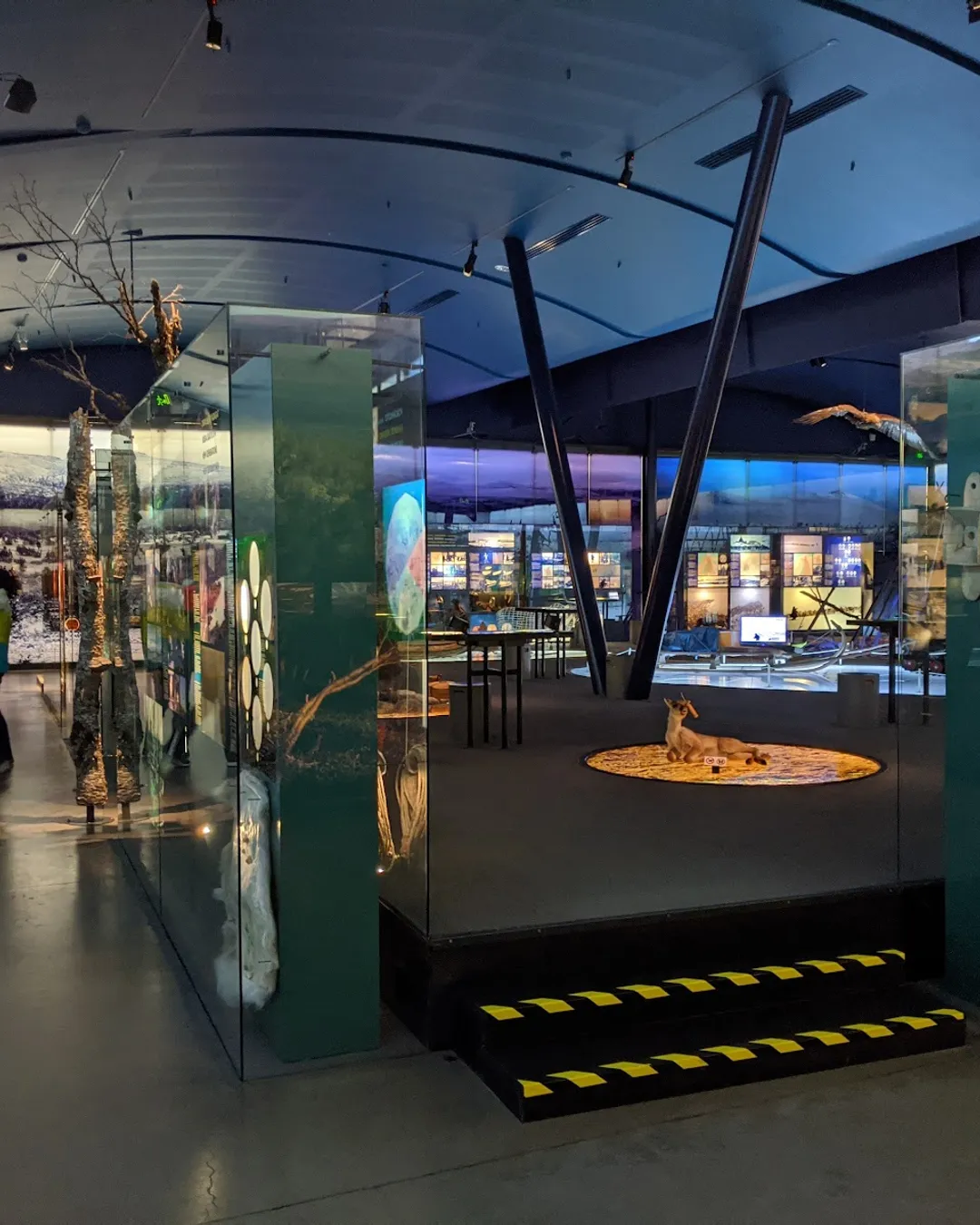 Siida - Sámi Museum