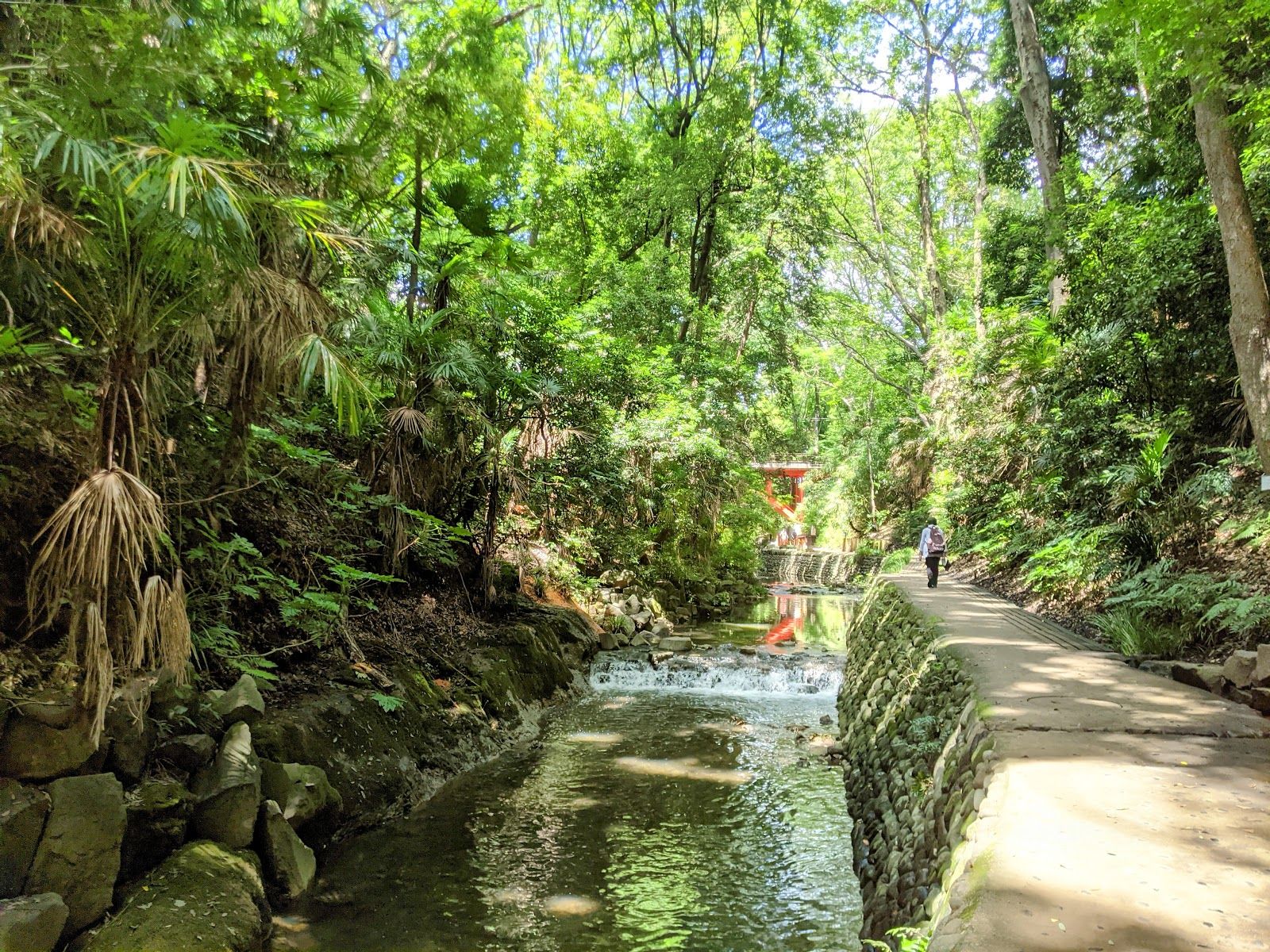 todoroki ravine park