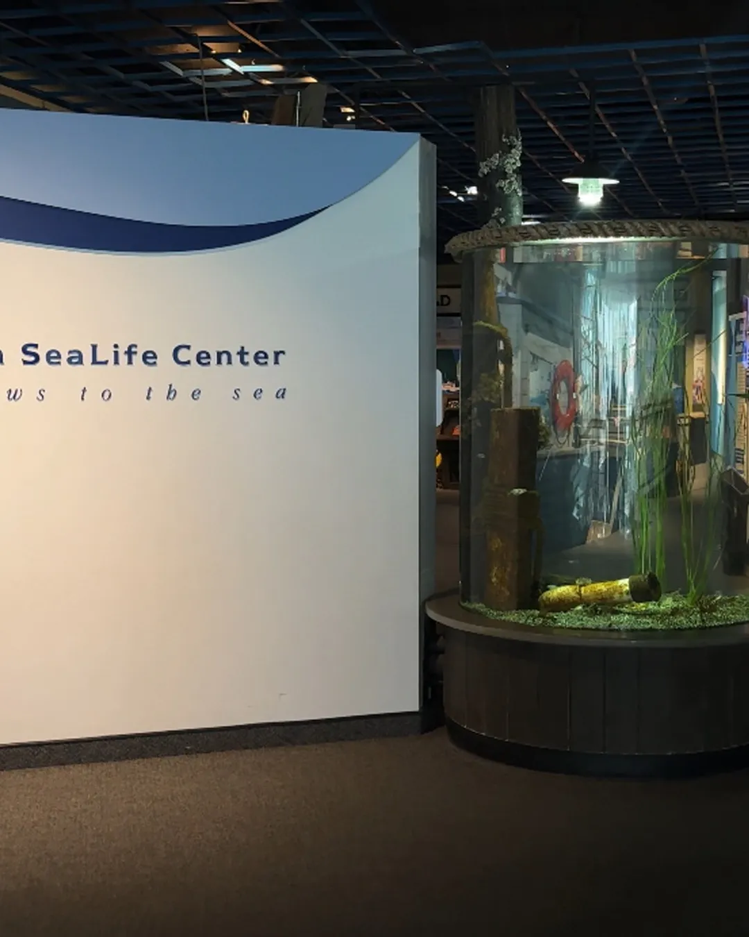 Alaska SeaLife Center, Seward