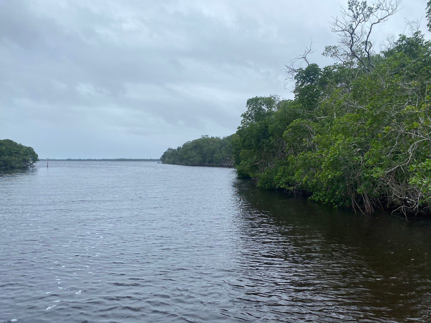 Free Guided Kayak Tour at Flamingo Marina