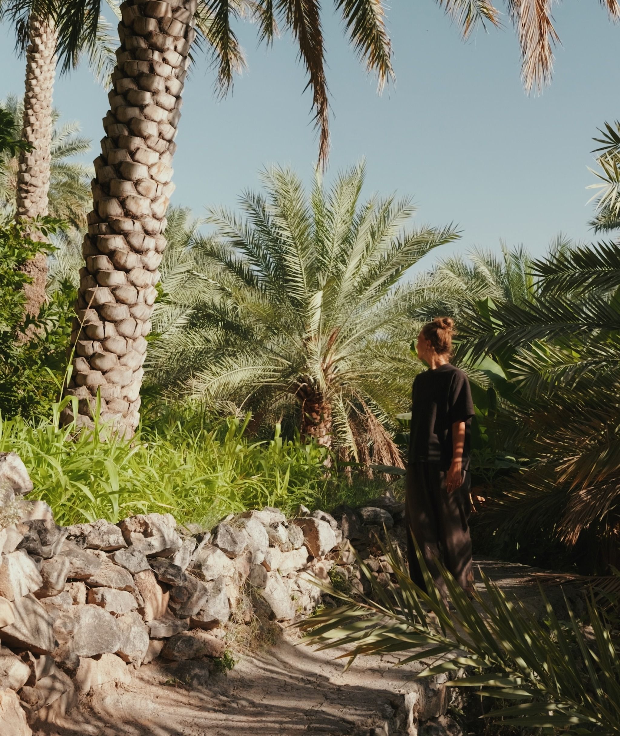 Walk path W9 مسار المشي