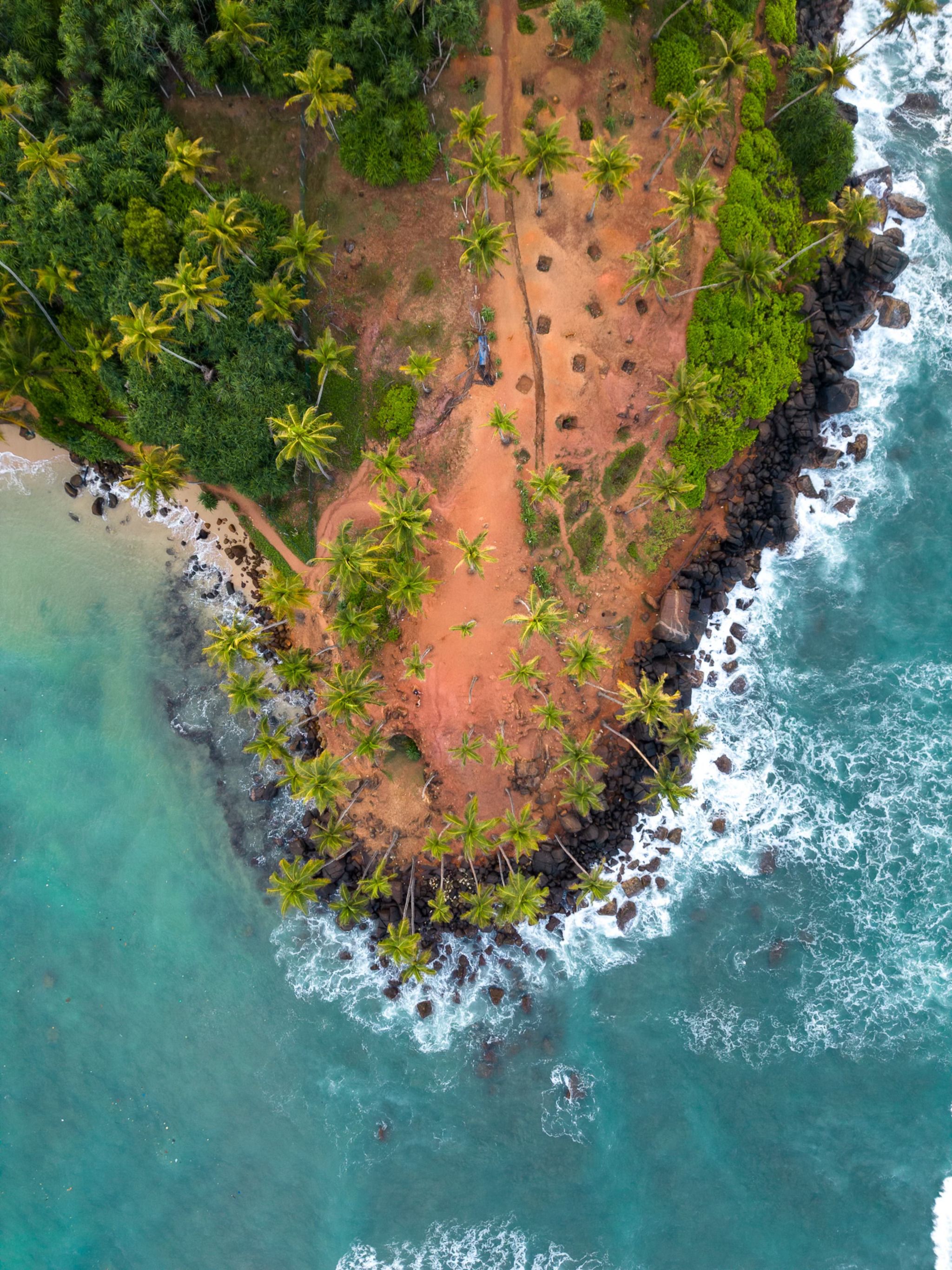 Coconut Tree Hill