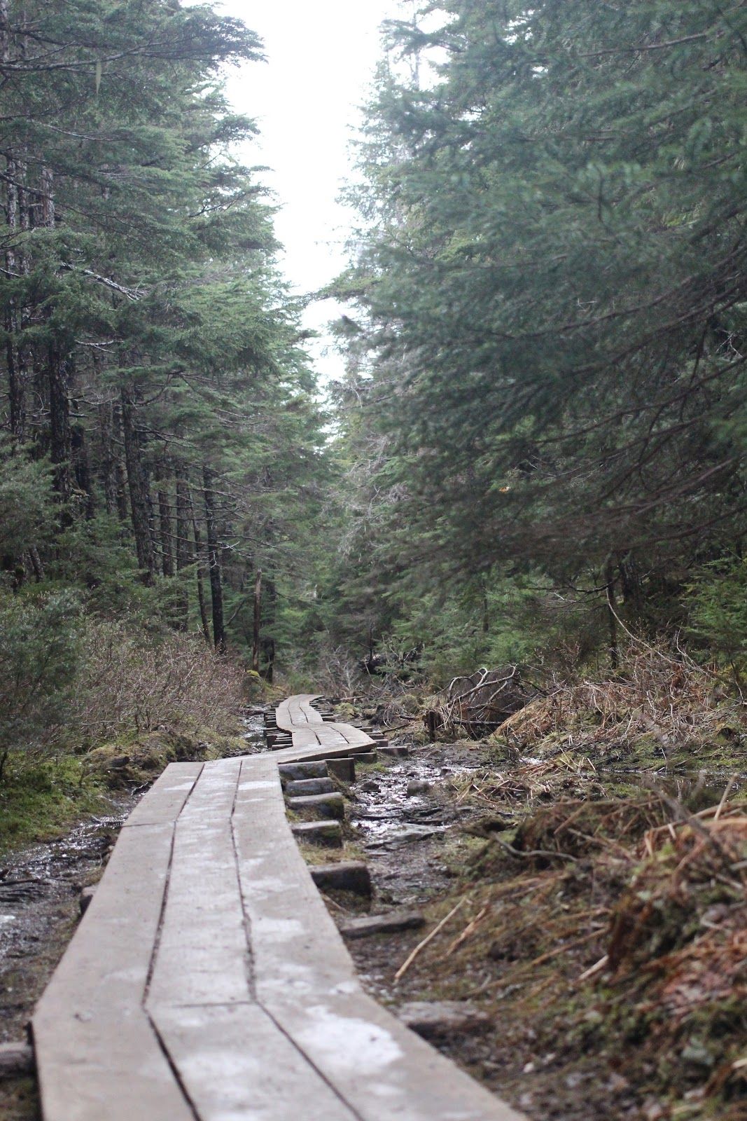 Winner Creek Trail