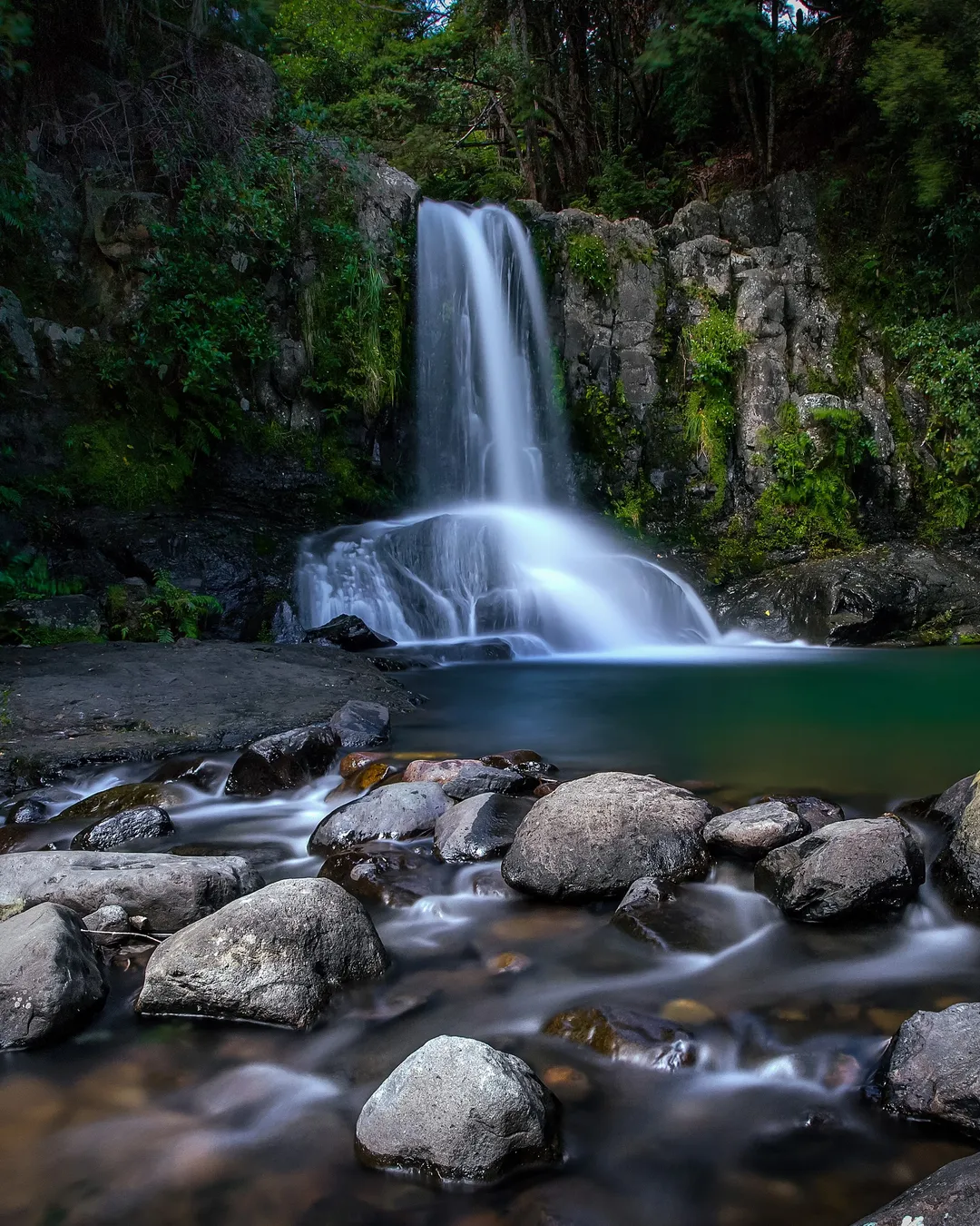 Waiau Falls Coromandel