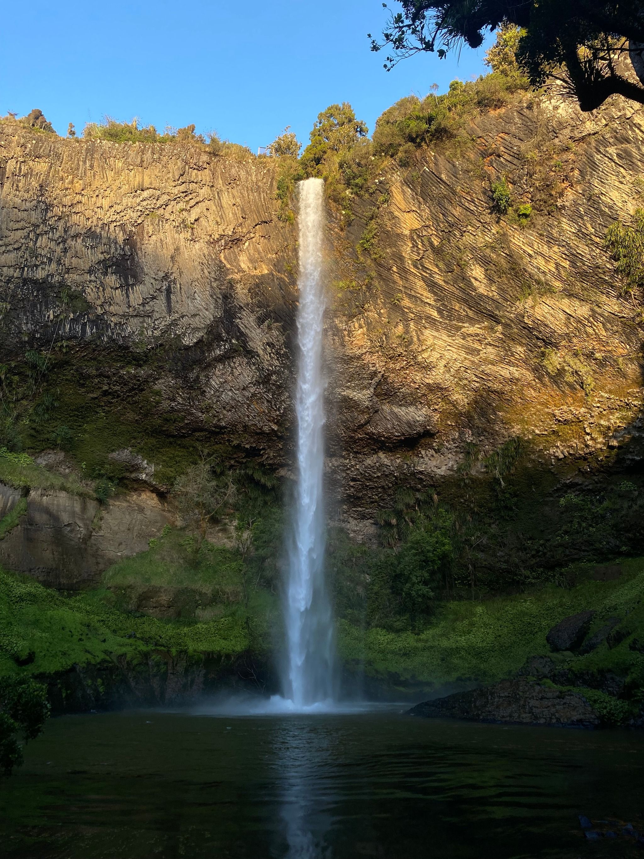 Wairēinga / Bridal Veil Falls - New Zealand - Rexby