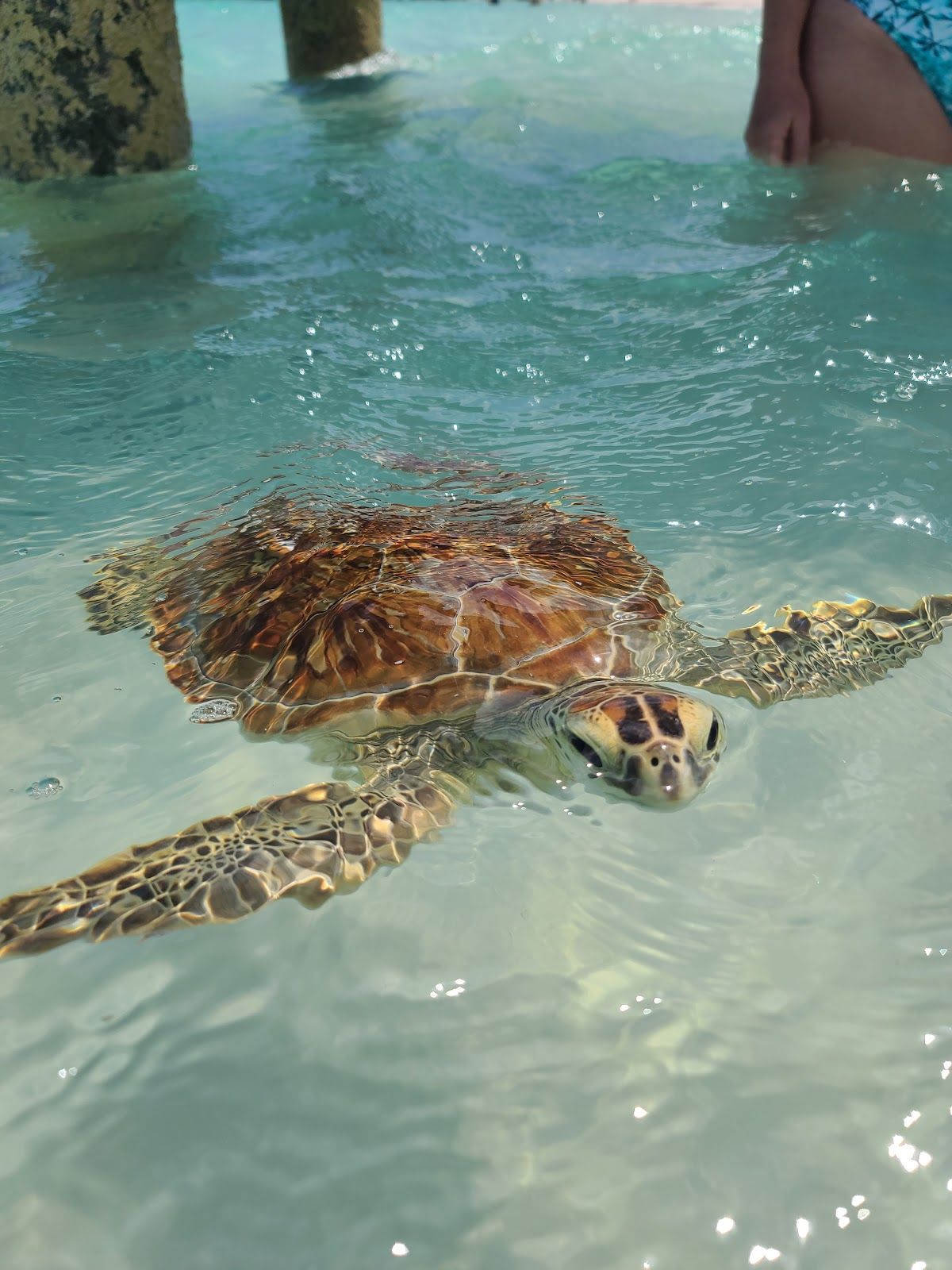 Hoopers Bay Beach Access