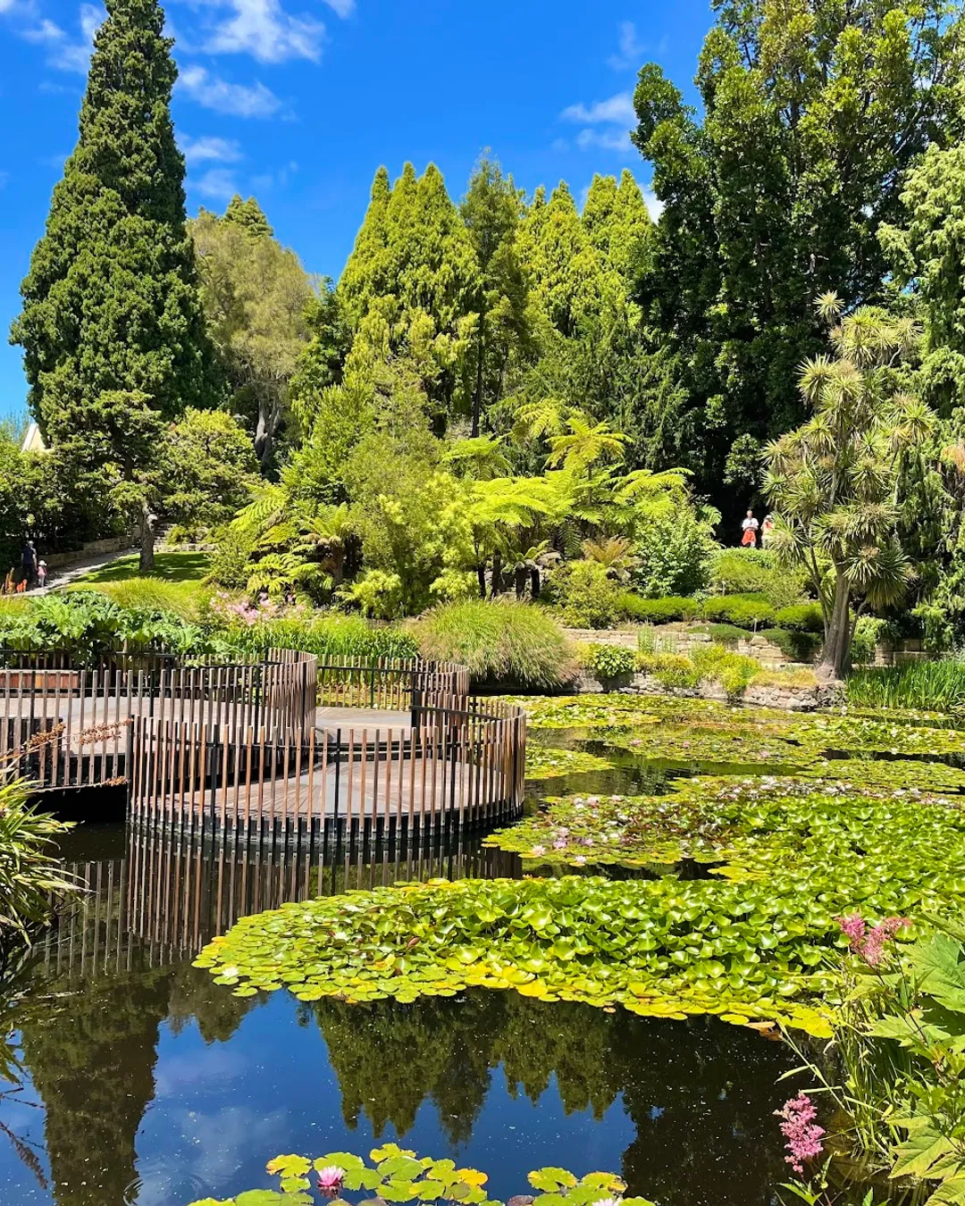 Royal Tasmanian Botanical Gardens