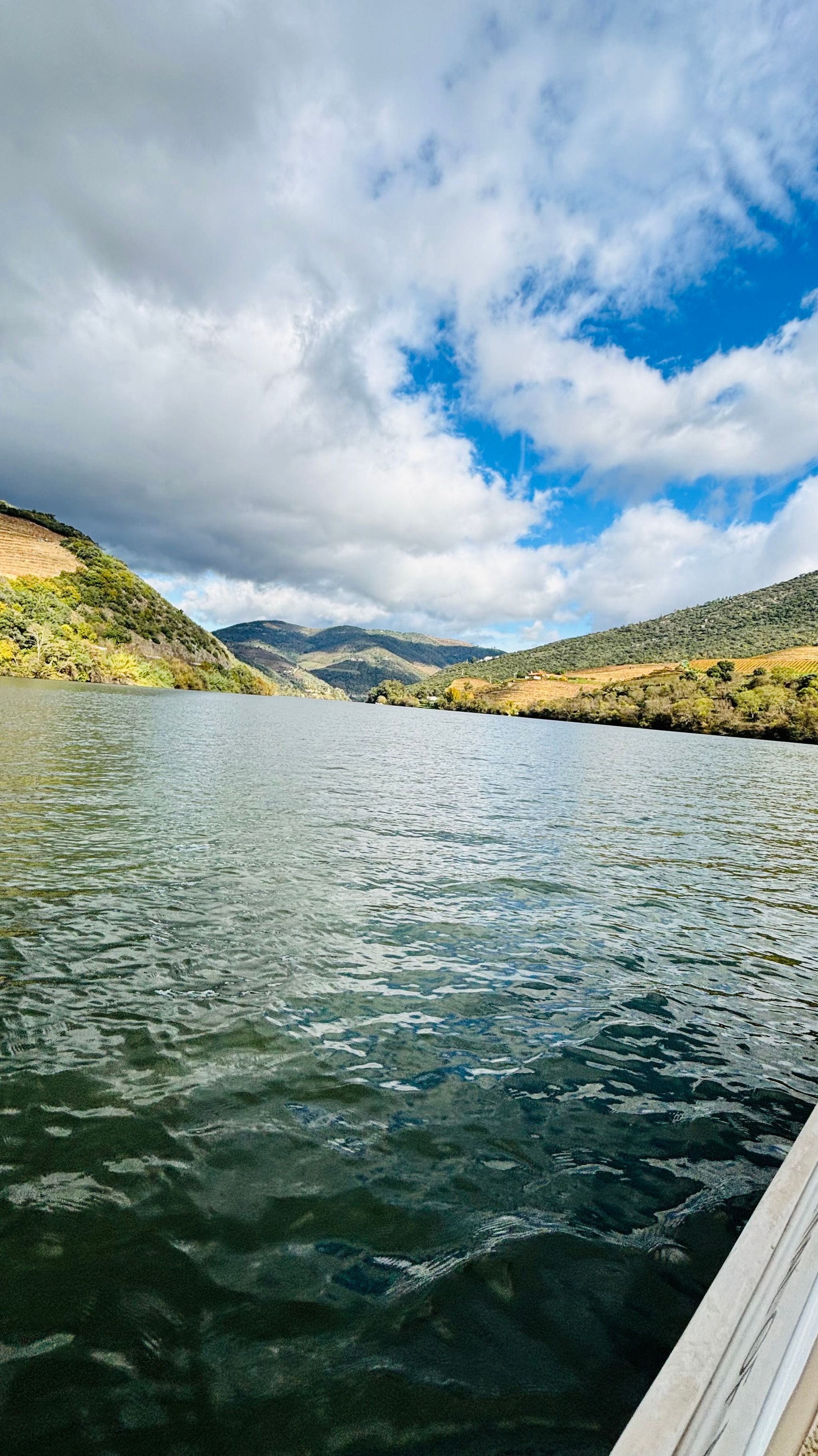 Douro Valley Wine Tours 