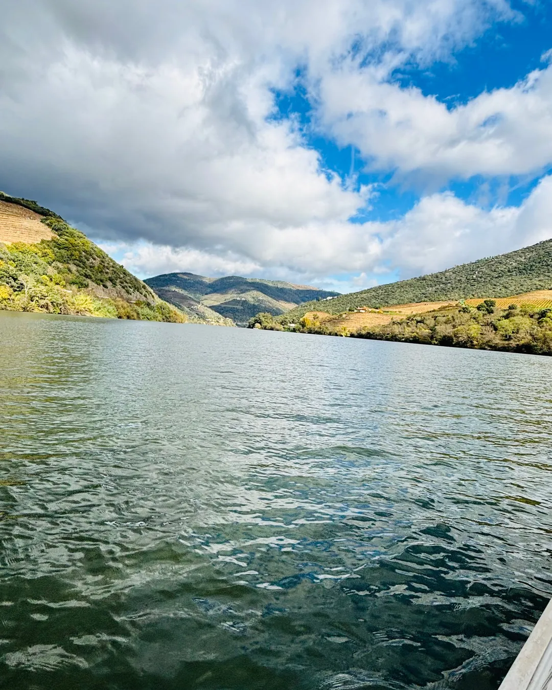 Douro Valley Wine Tours 