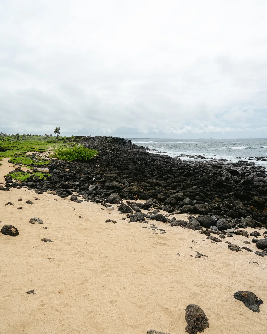 Playa de Los Perros