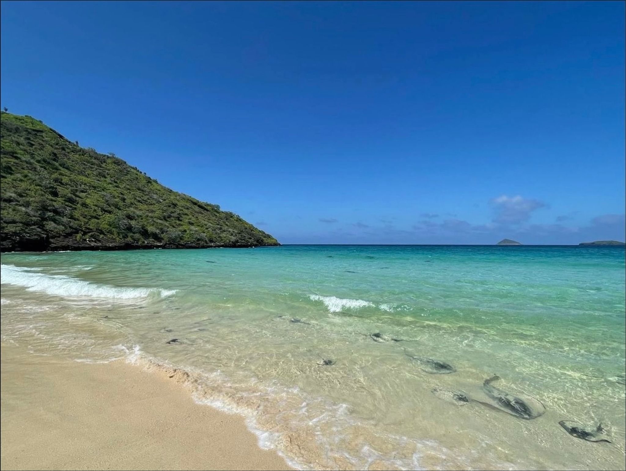 Isla Floreana