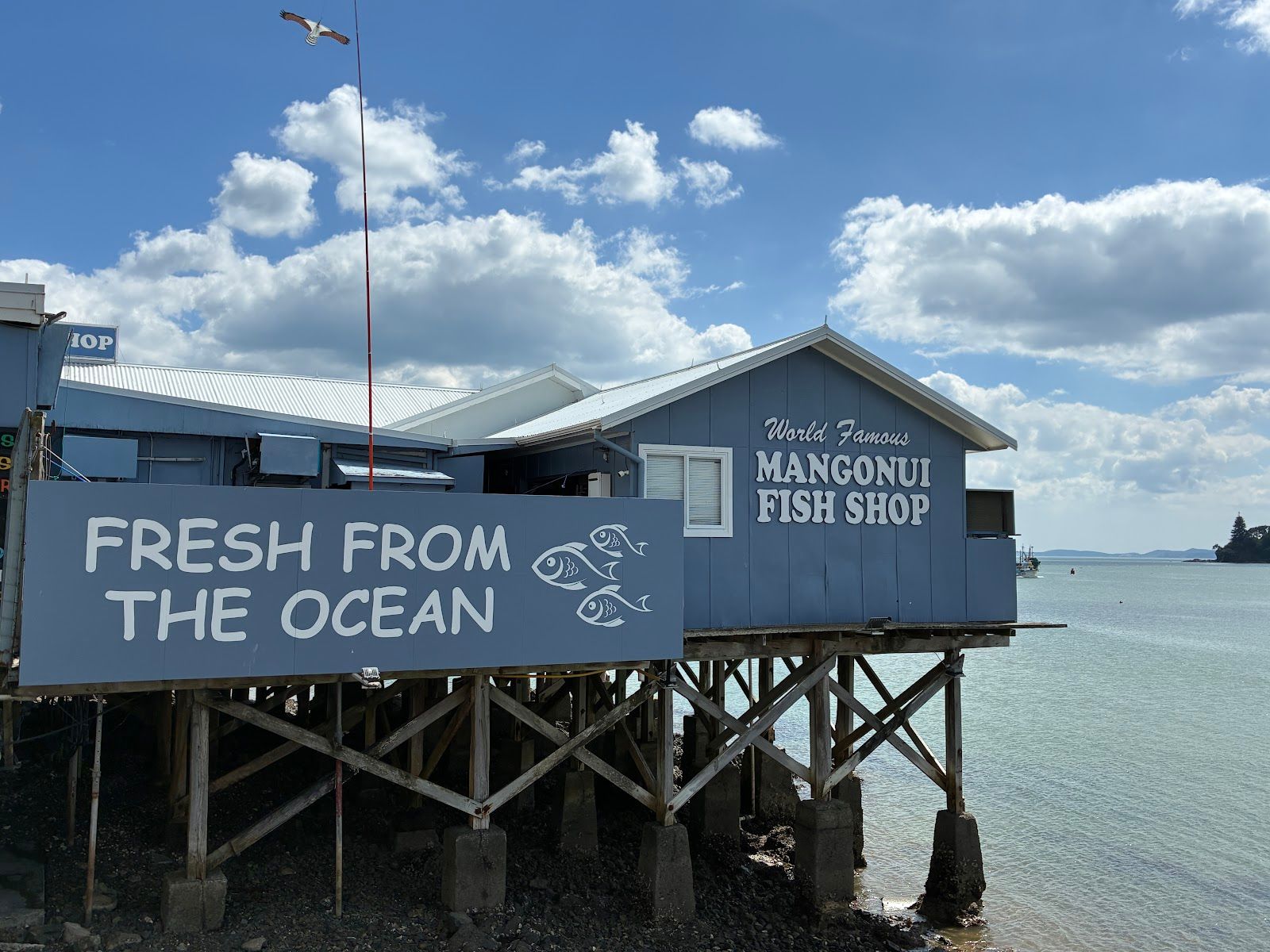Mangonui Fish Shop