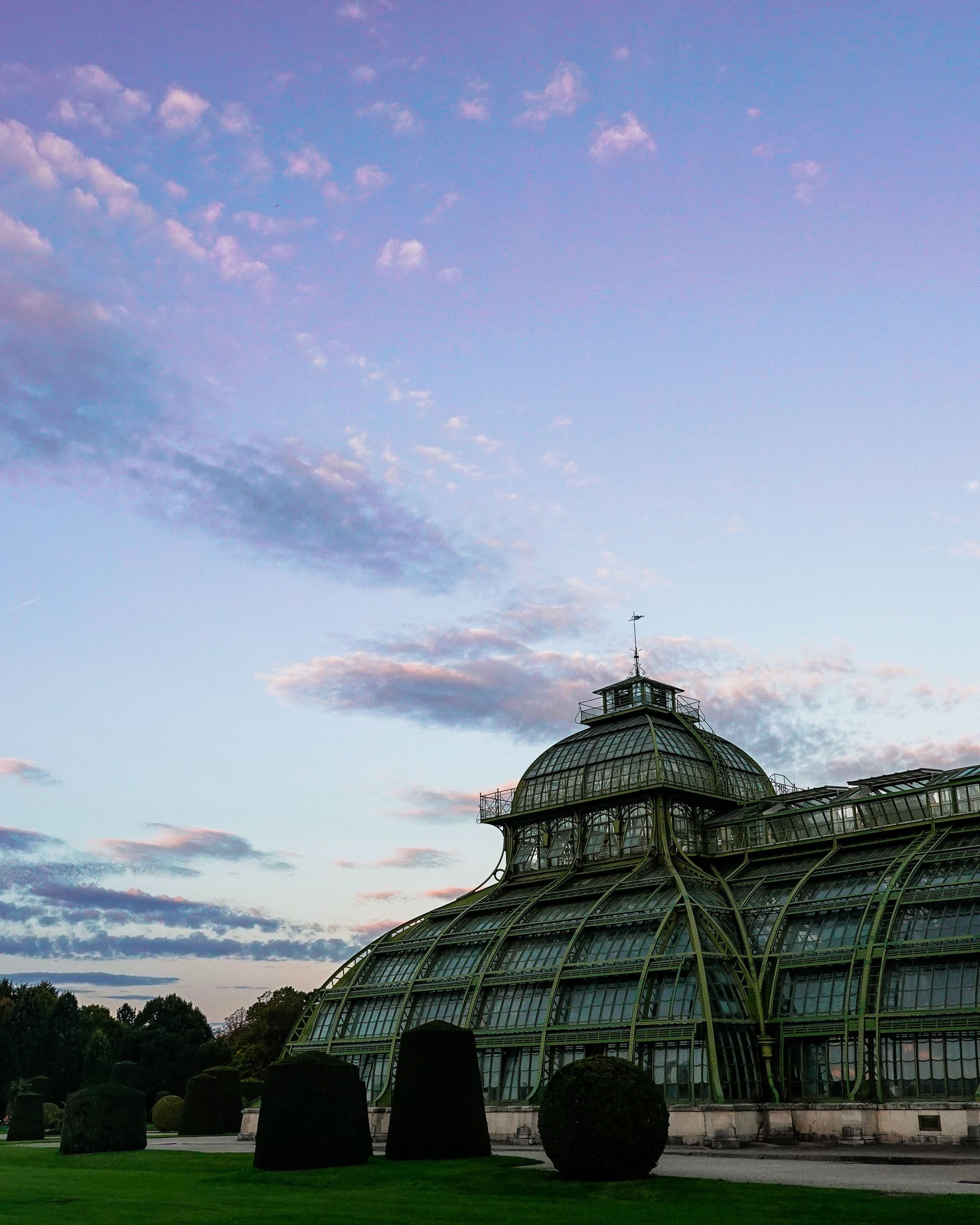 Palm House in the Palace Gardens