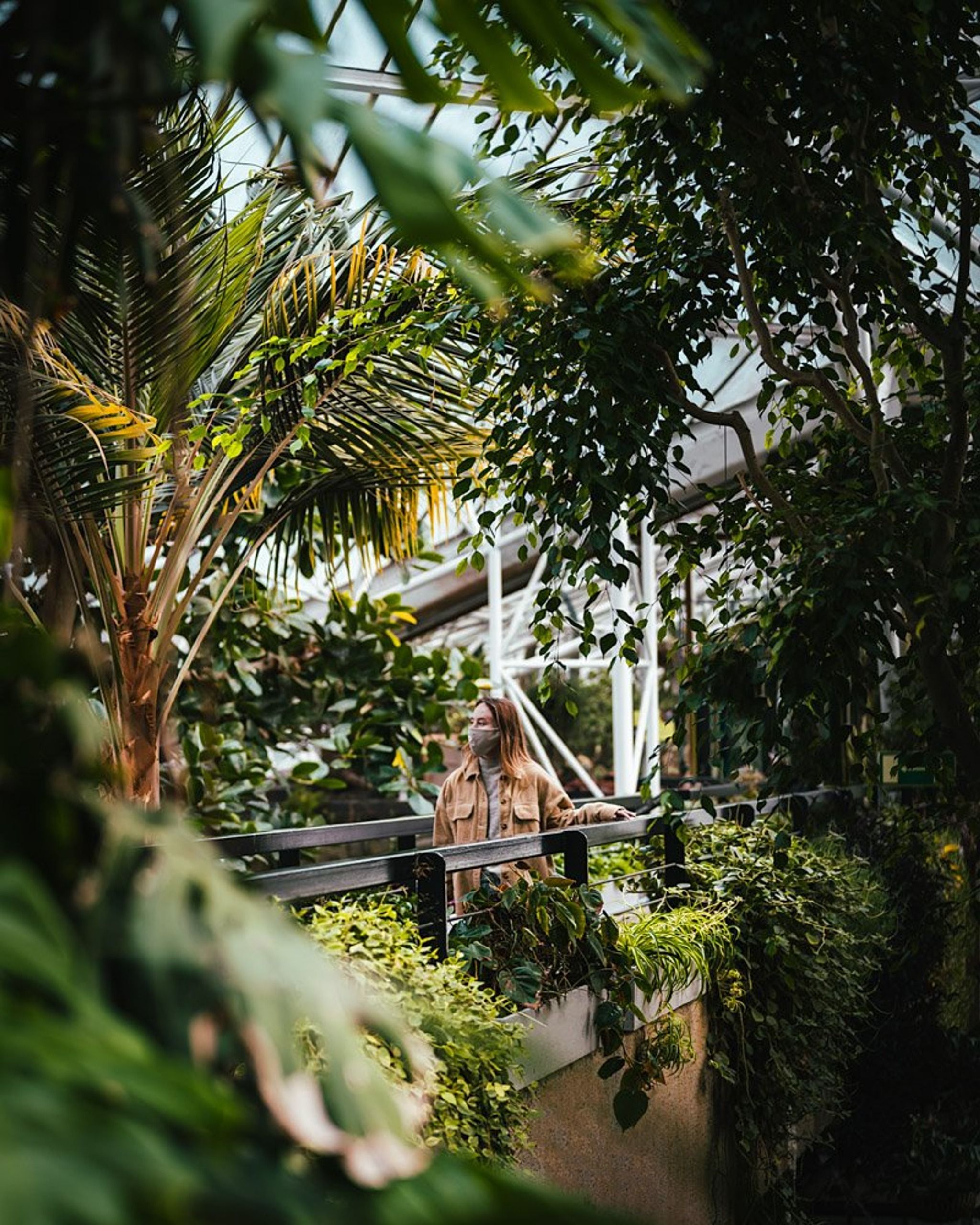 Barbican Conservatory