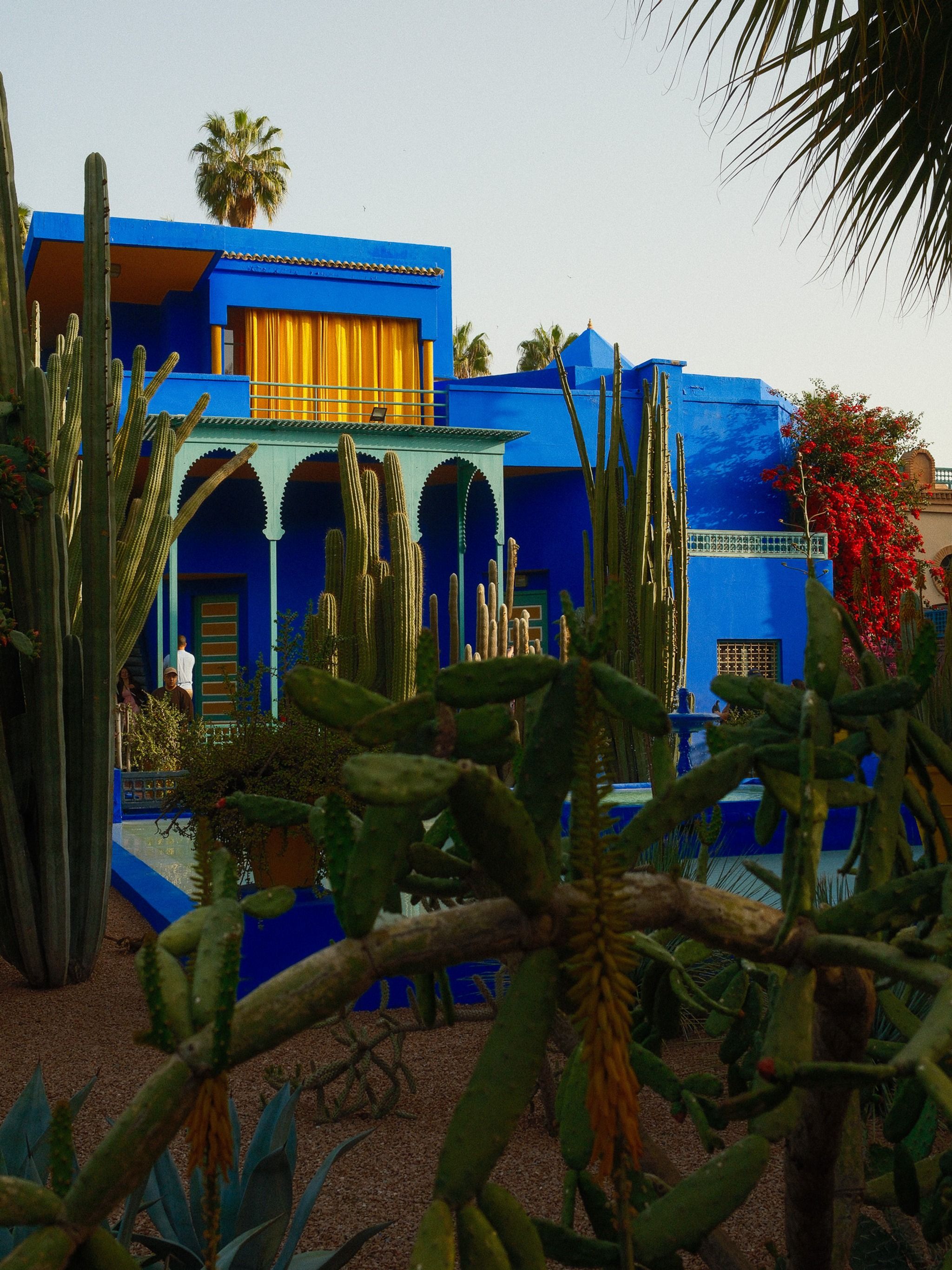 Jardin Majorelle