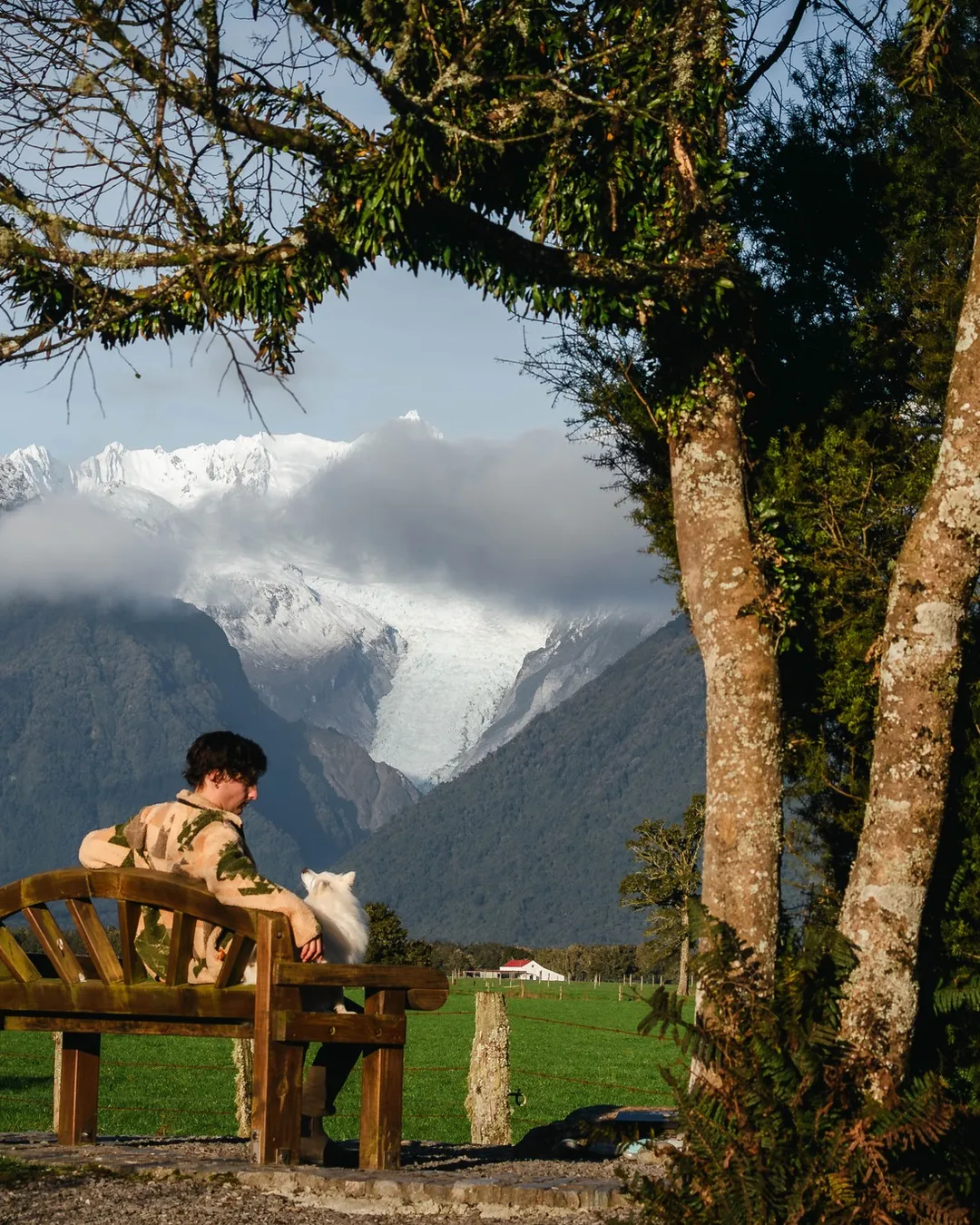 Fox Glacier Viewpoint / Te Kopikopiko O Te Waka