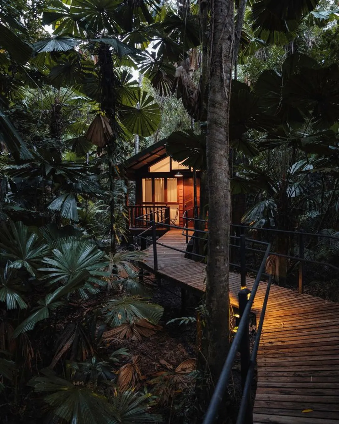 Daintree Wilderness Lodge