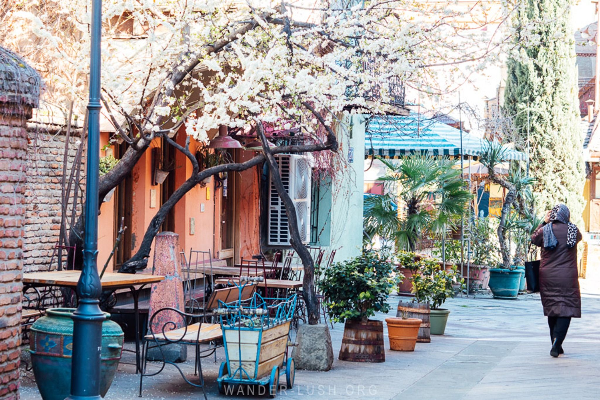 Café Leila Plum Tree