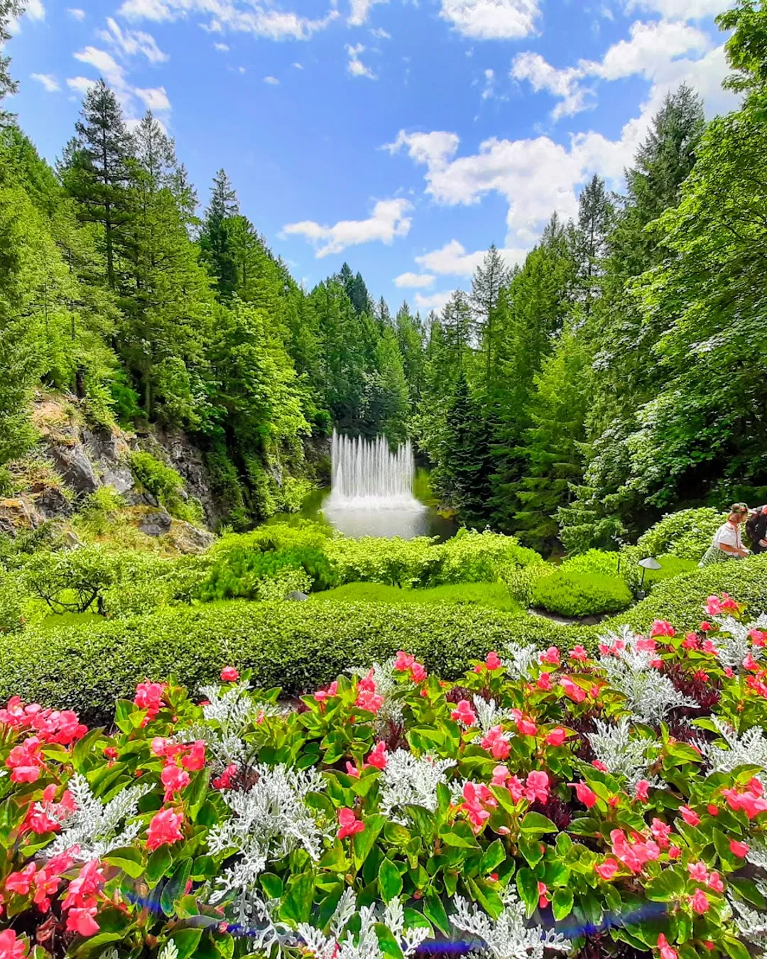 The Butchart Gardens