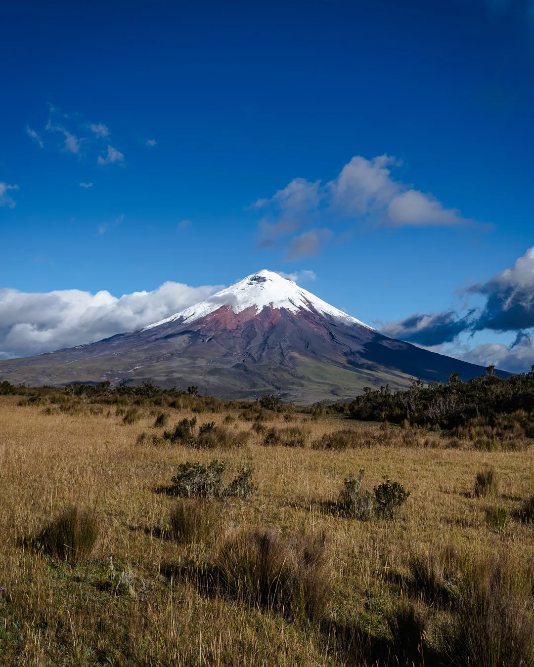 Cotopaxi Volcano