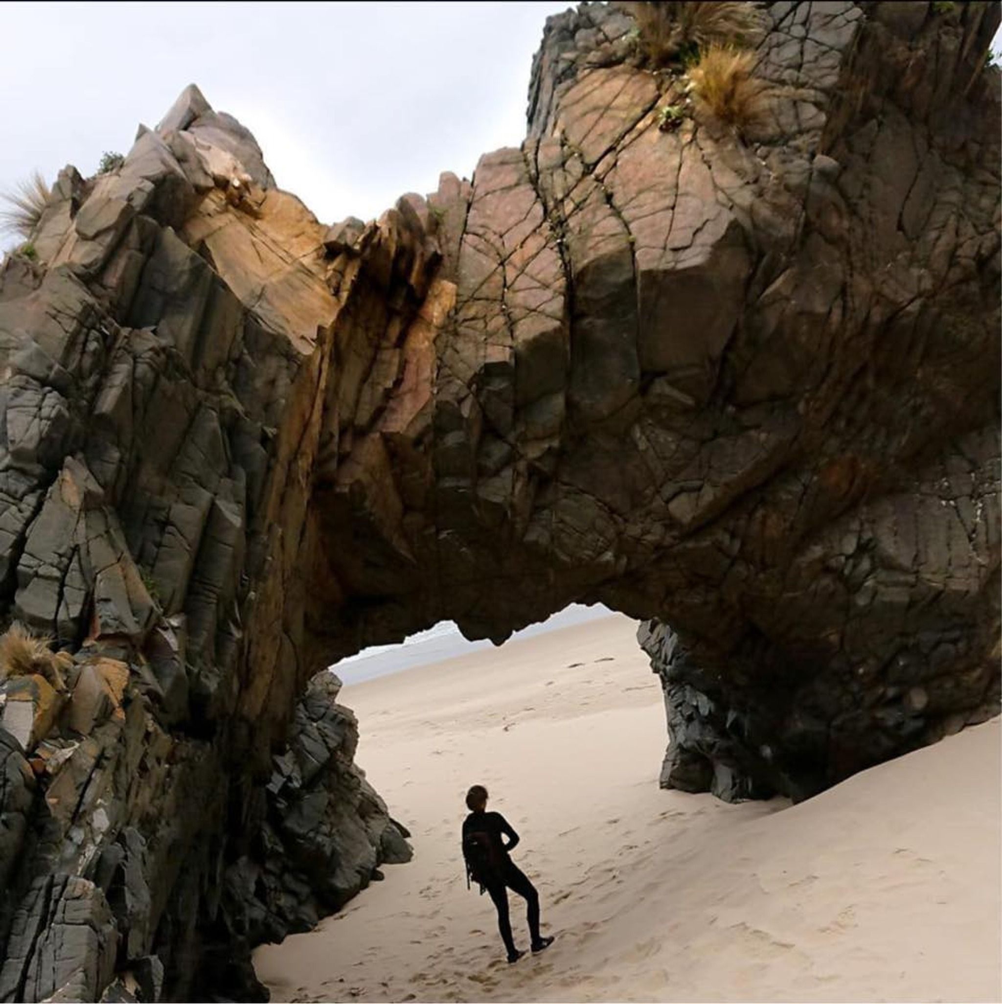 Cape Queen Elizabeth Track