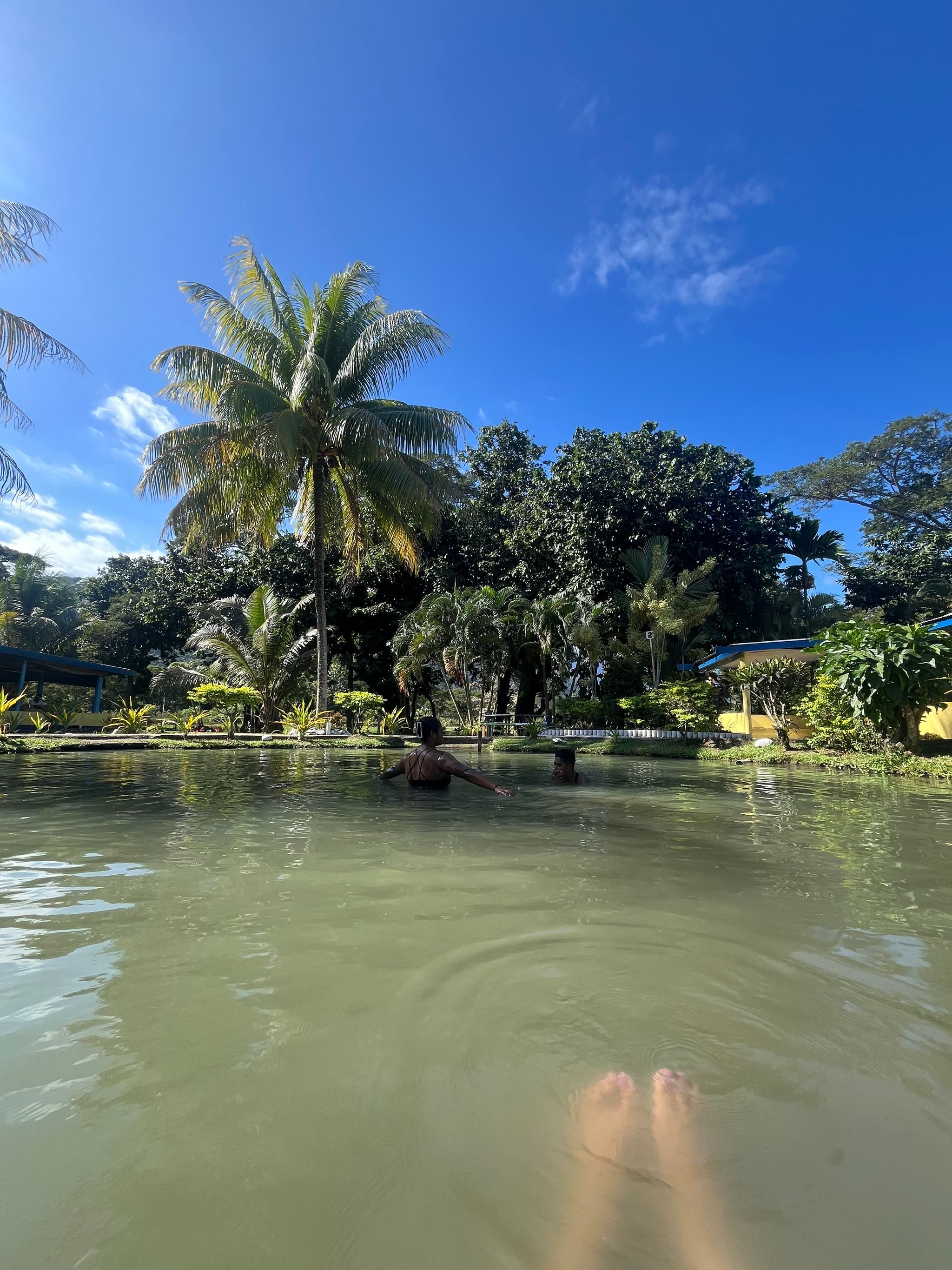Sabeto Hotspring Mudpool Fiji & Tours