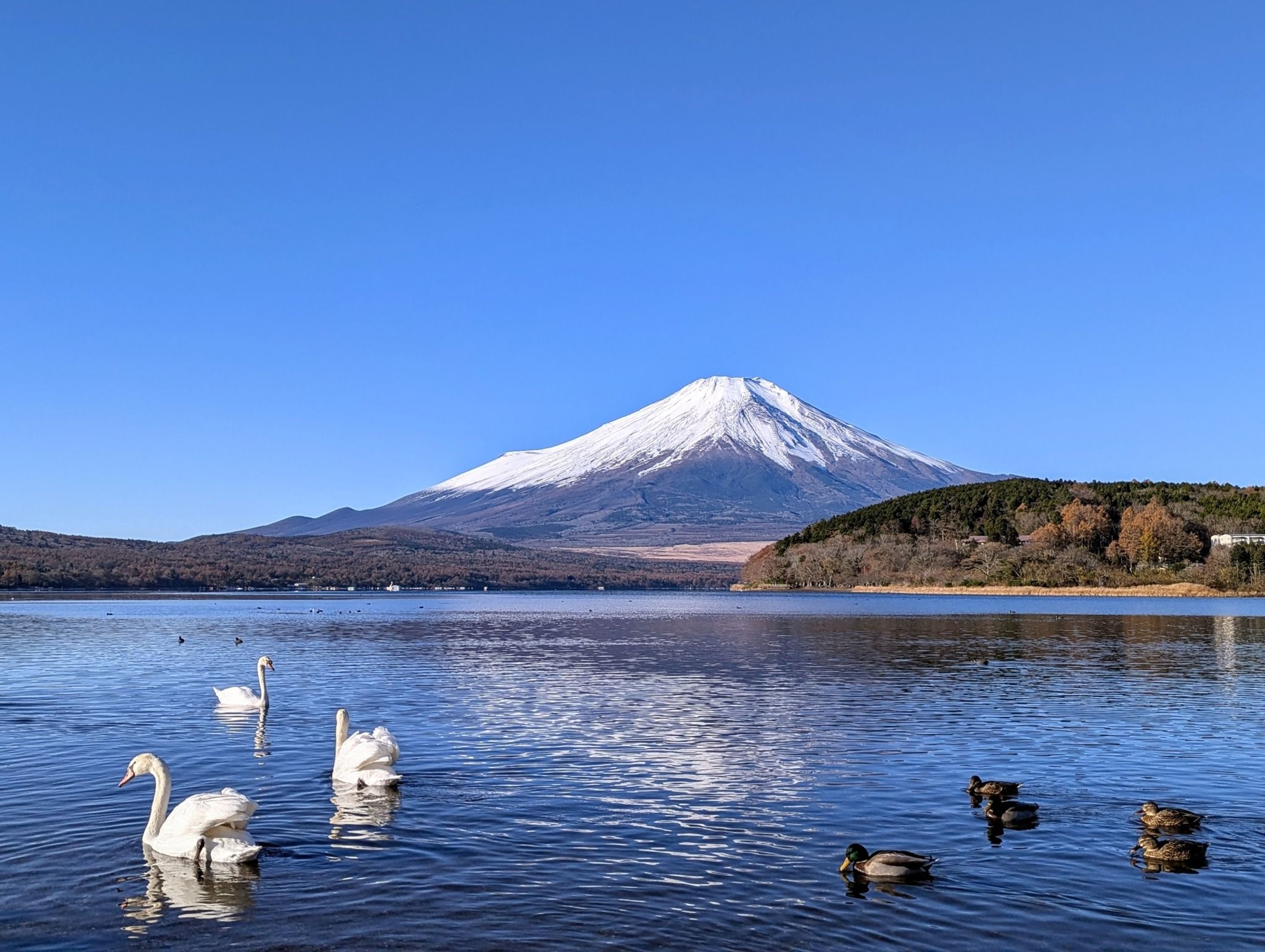 Yamanakako - Rural Travels, Japan - Rexby