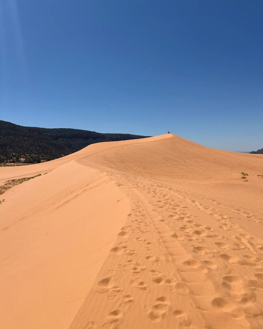 Coral Pink Sand Dunes State Park