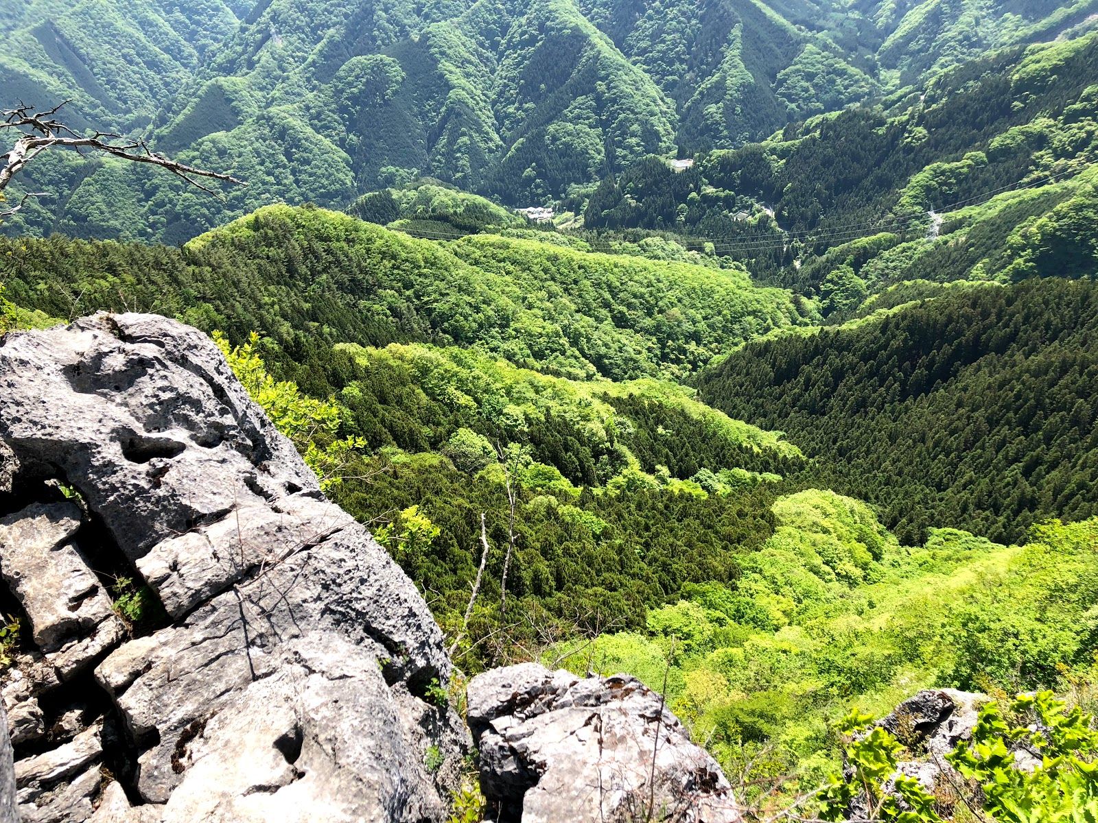 Futagoyama - Rural Travels, Japan - Rexby