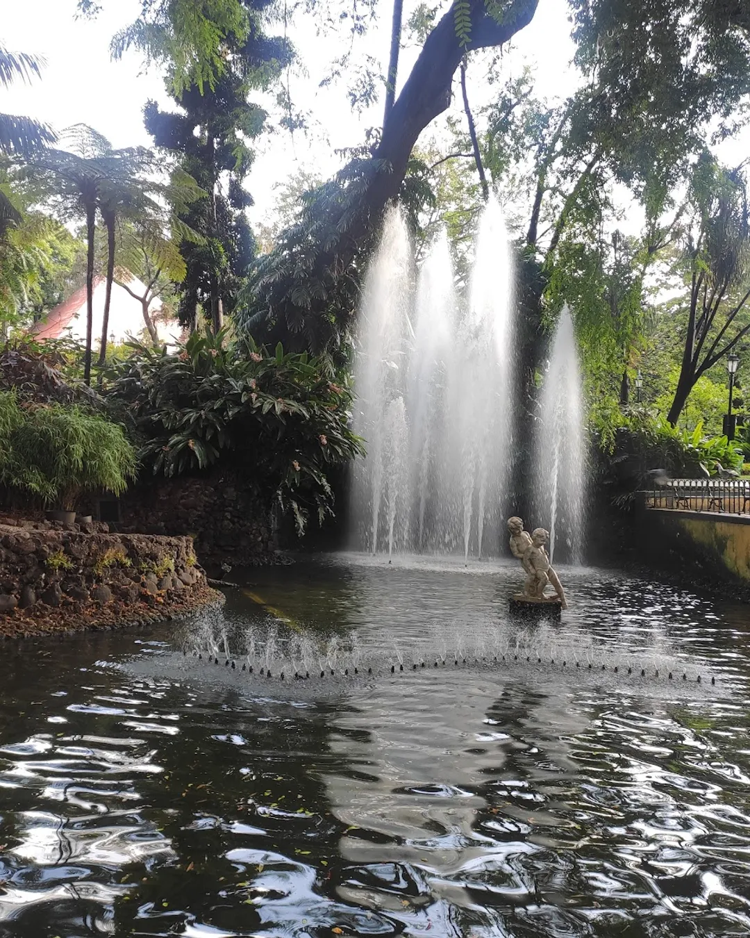 Jardim Municipal do Funchal